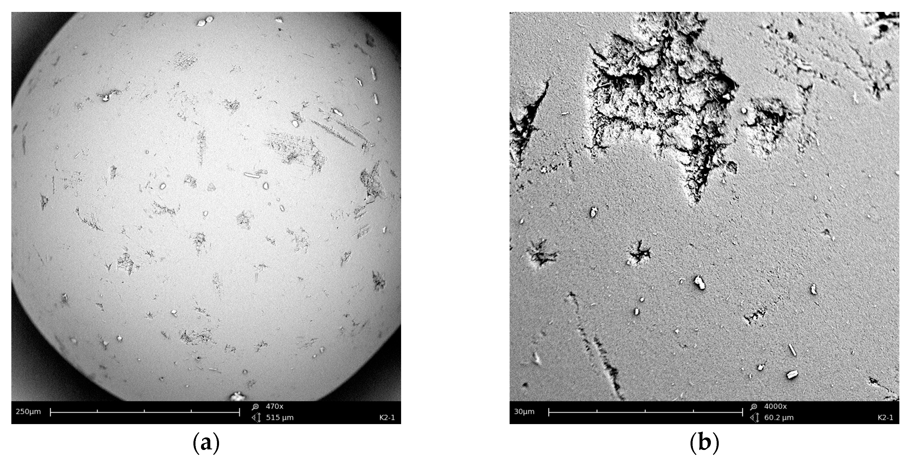 Materials 17 01234 g004a