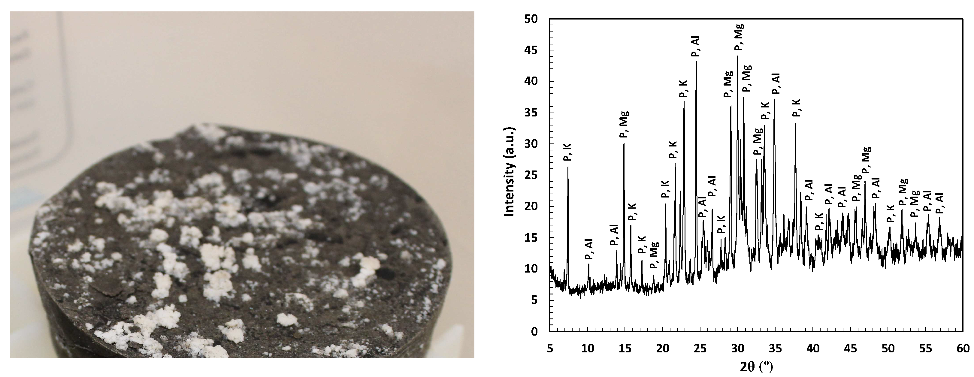 Materials 17 01263 g016