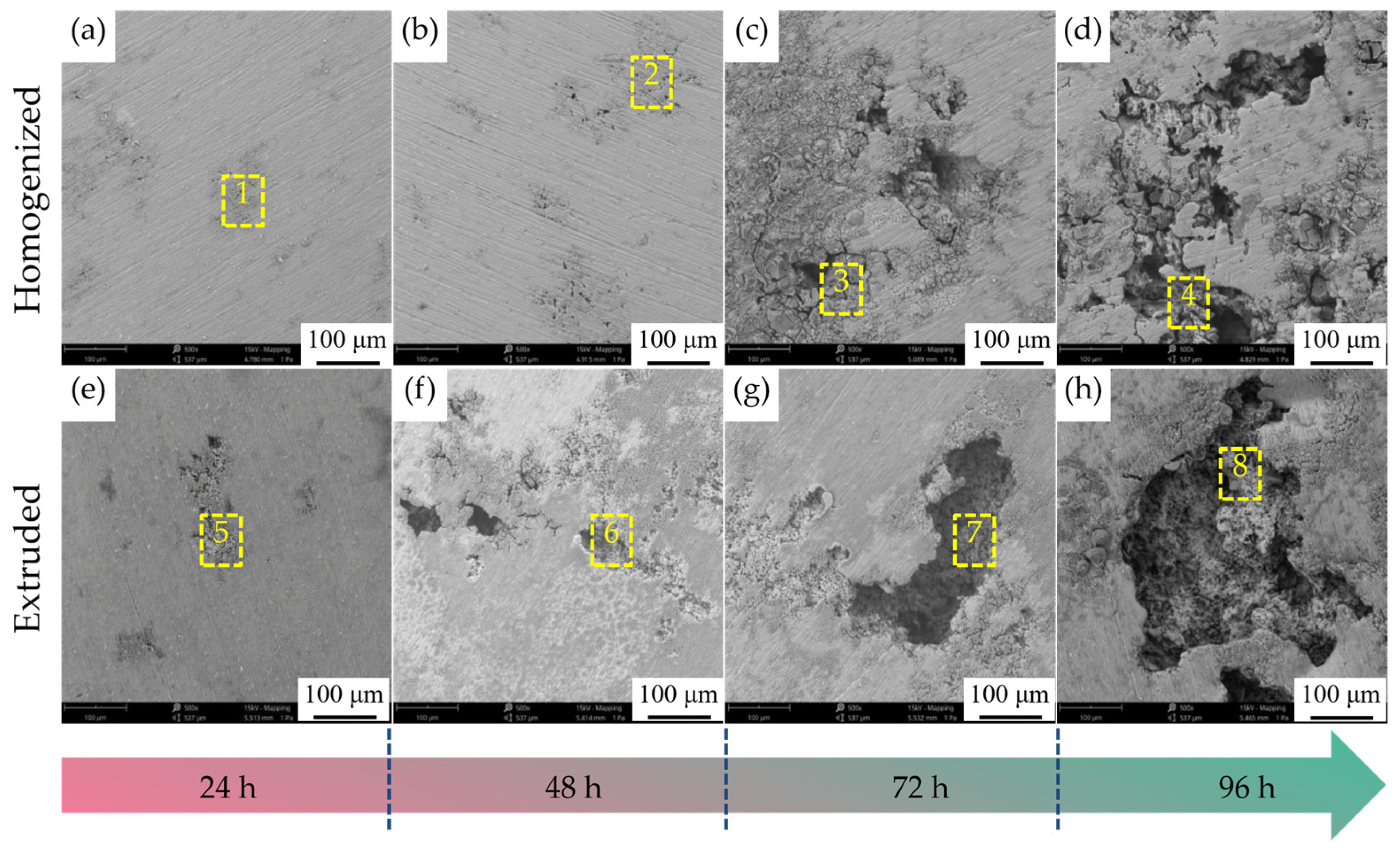Materials 17 01279 g006