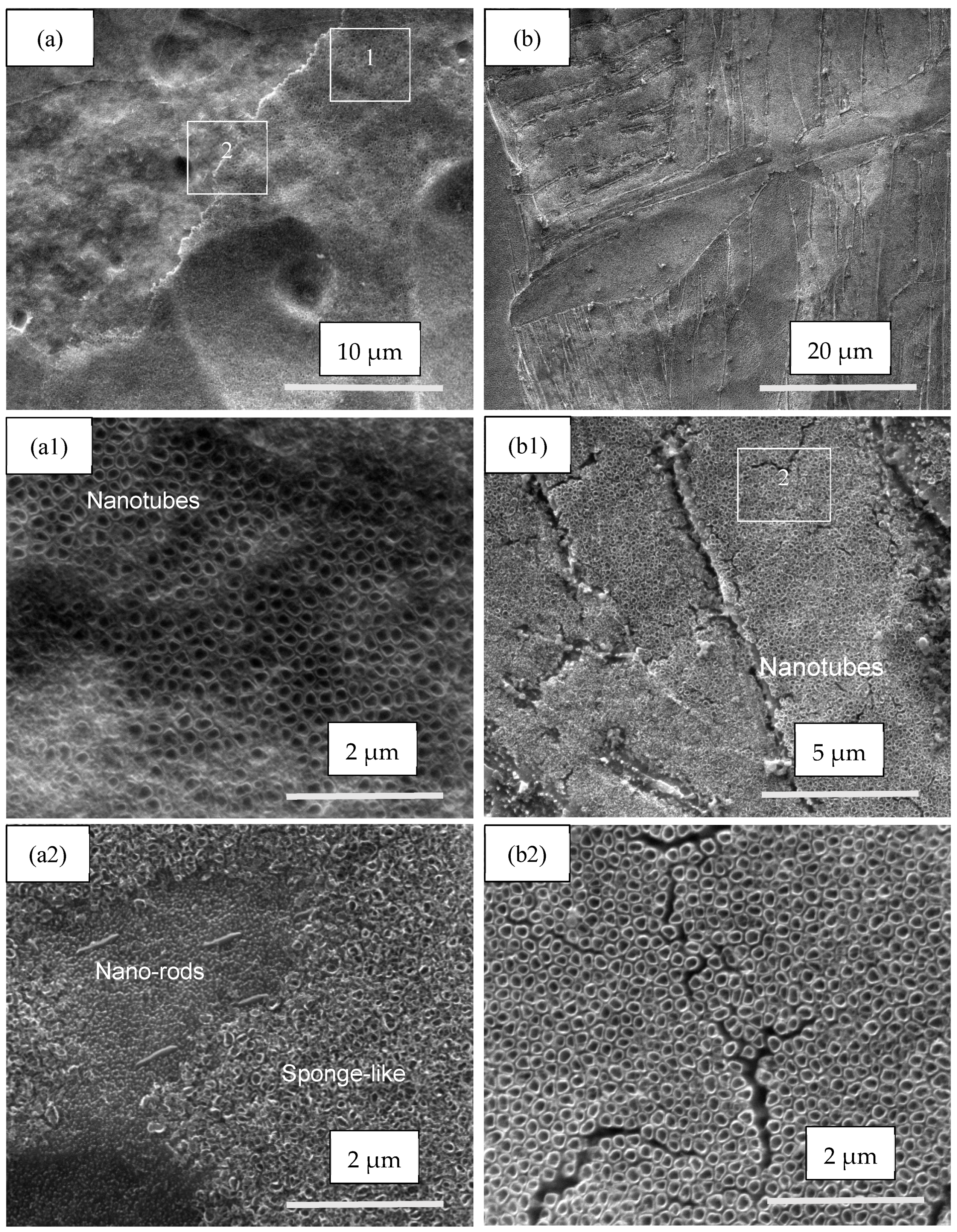 Materials 17 01290 g004
