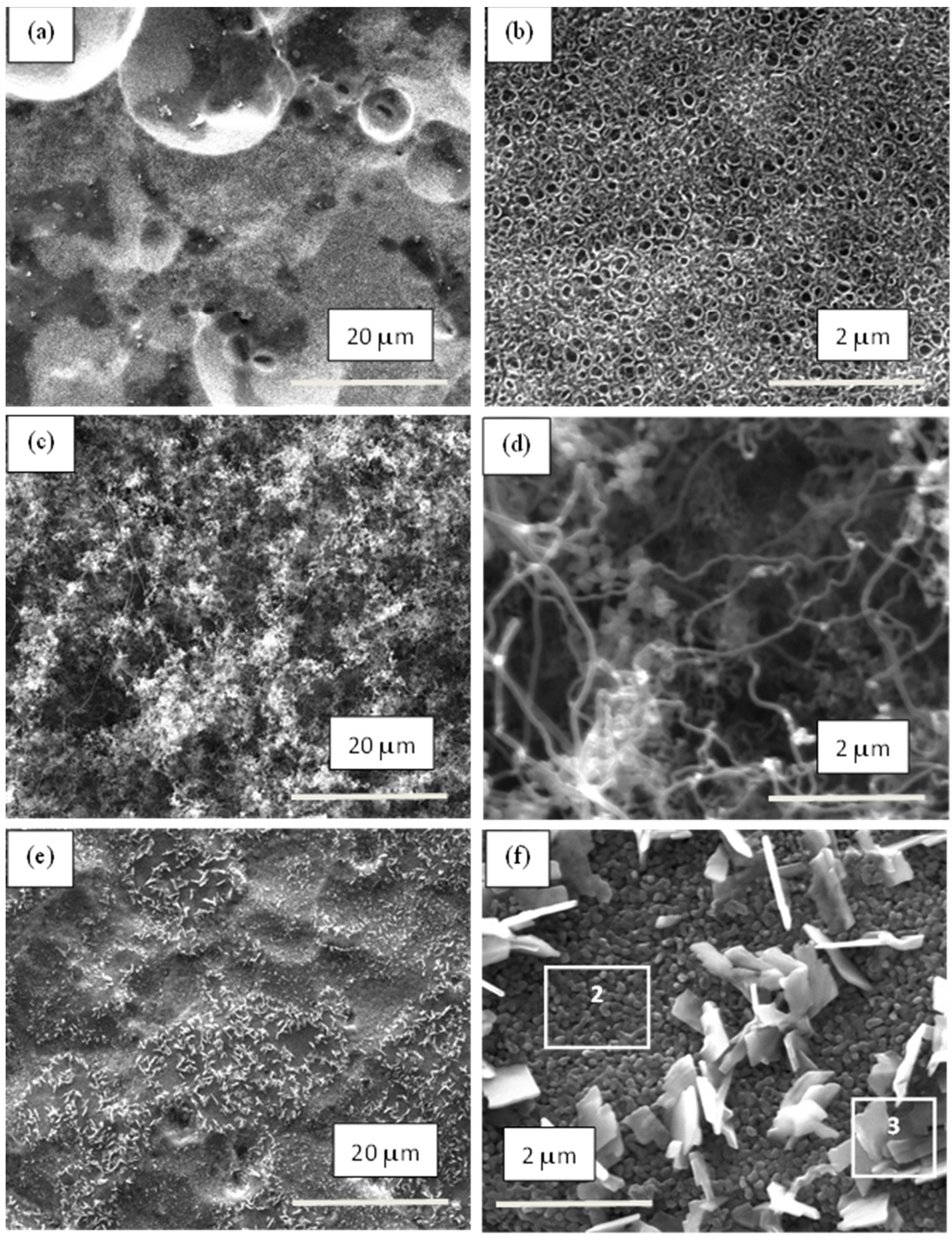Materials 17 01290 g005