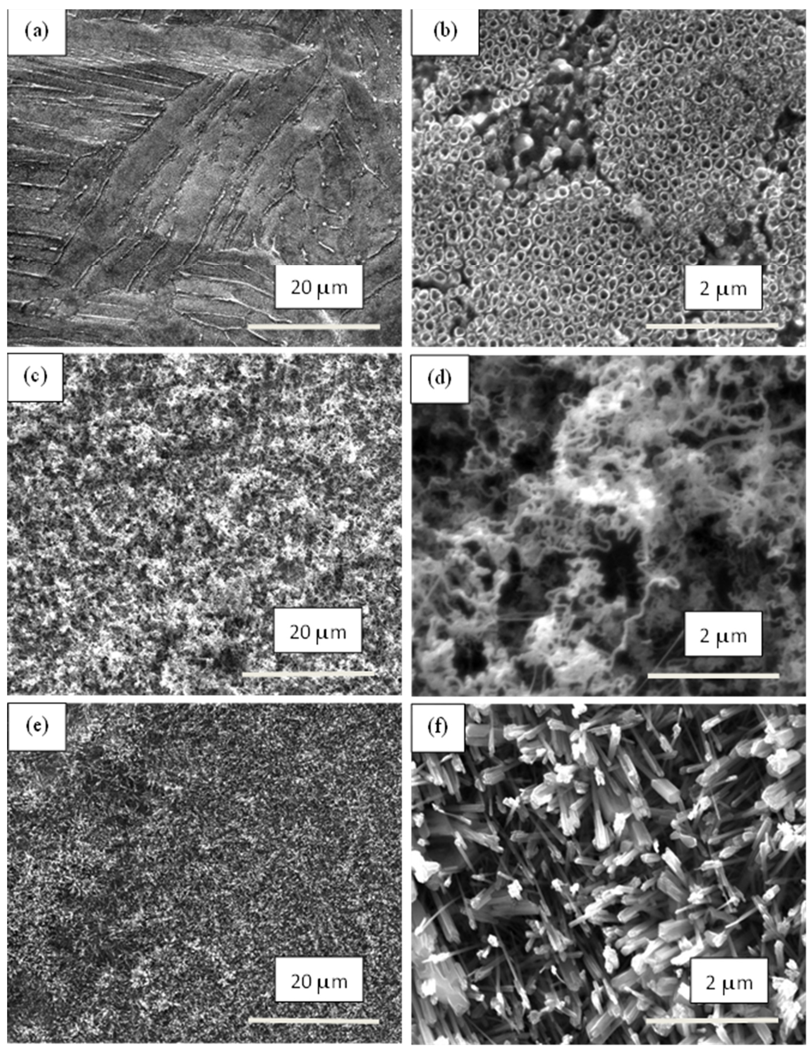 Materials 17 01290 g006