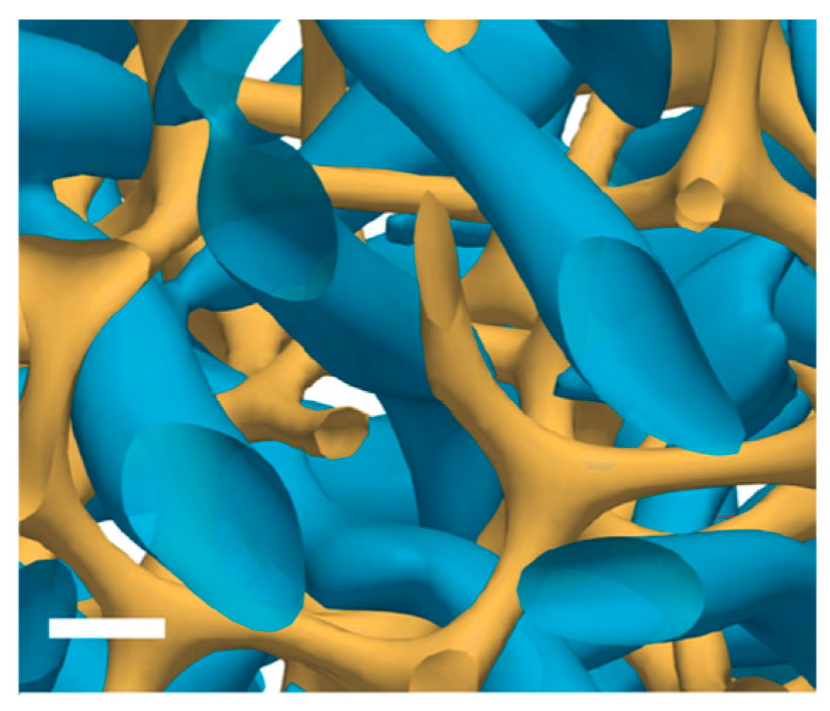 Materials 17 01291 g005