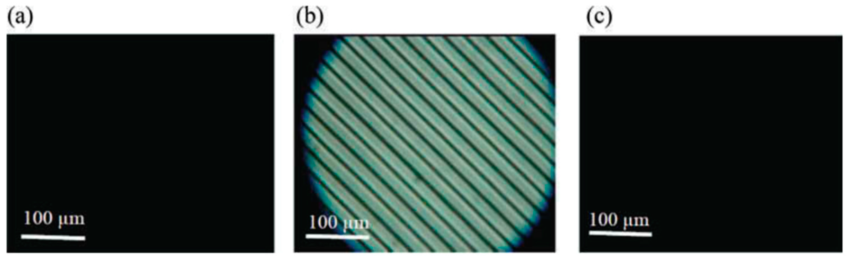 Materials 17 01291 g032