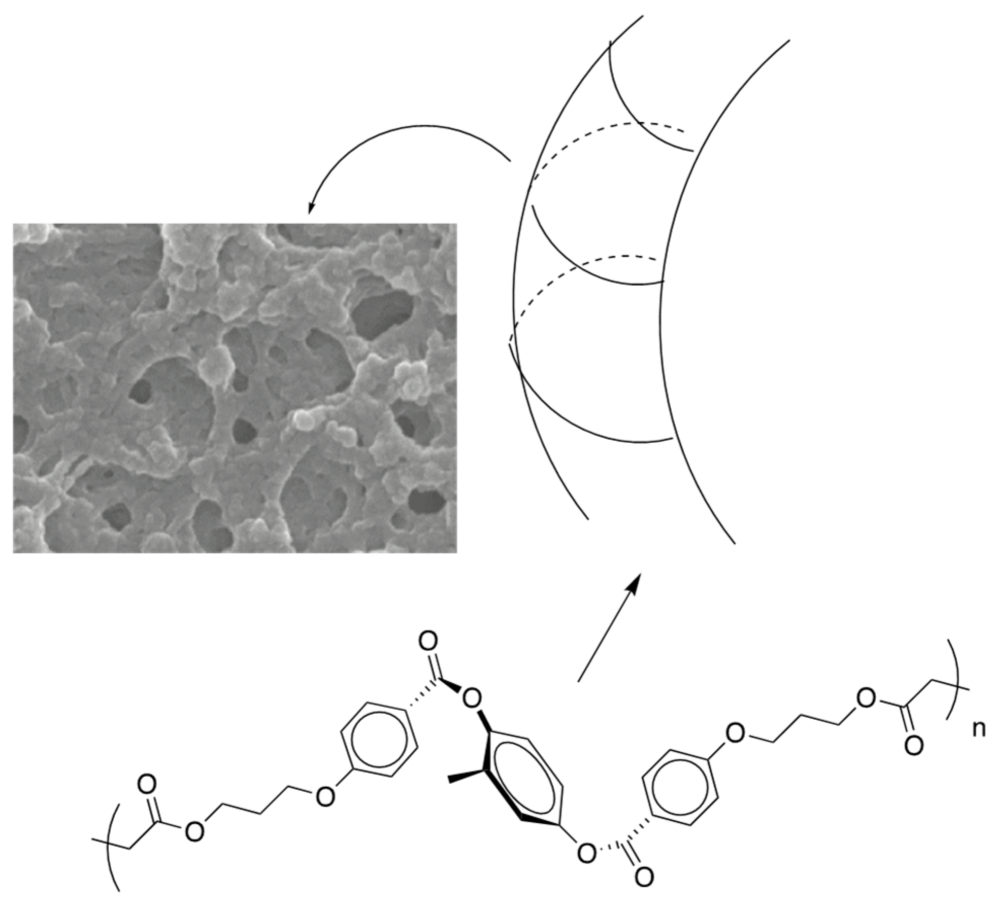 Materials 17 01291 g035