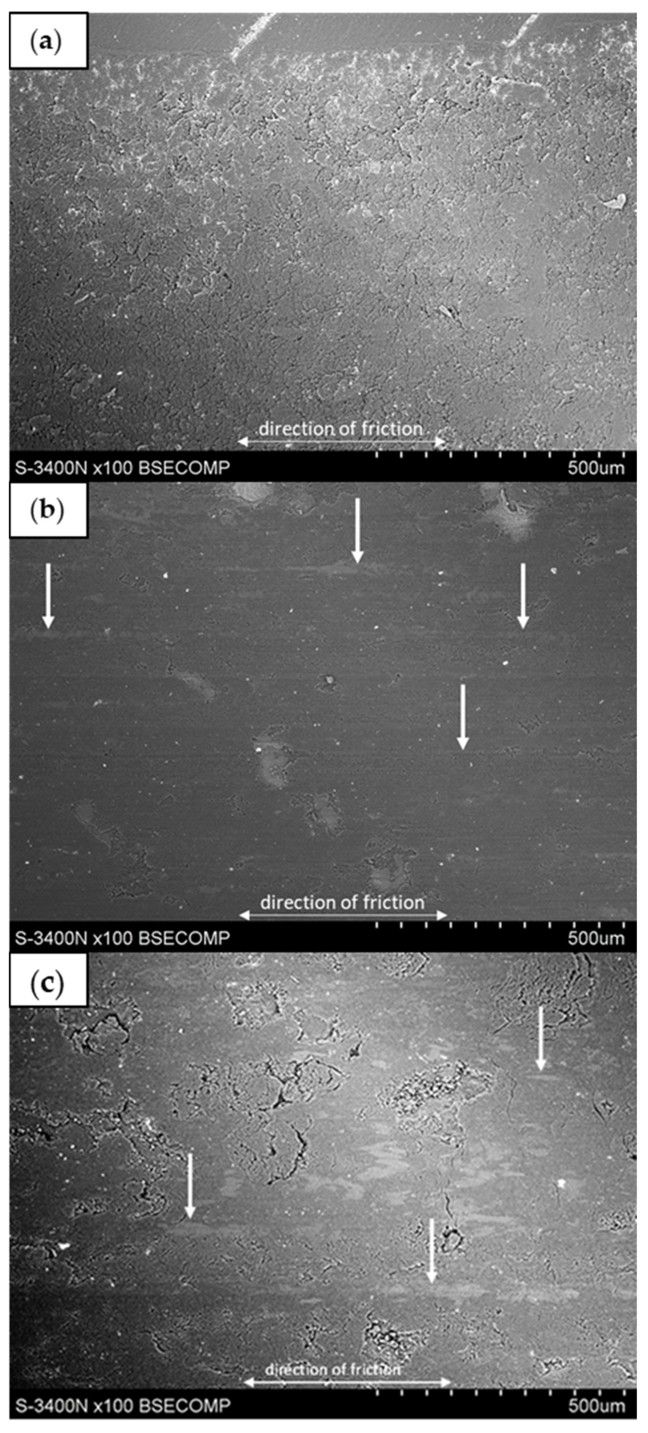 Materials 17 01308 g010