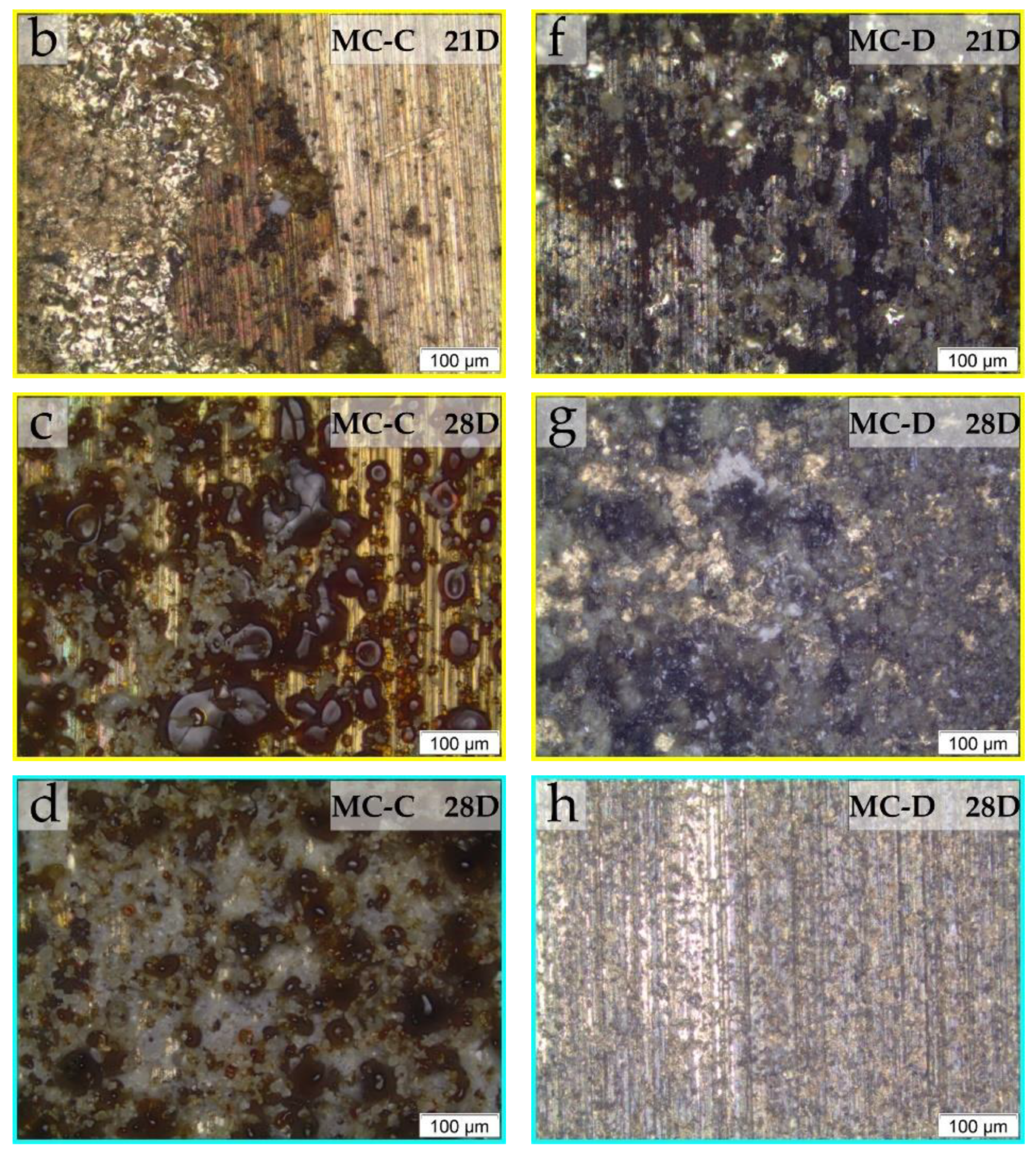 Materials 17 01326 g003b