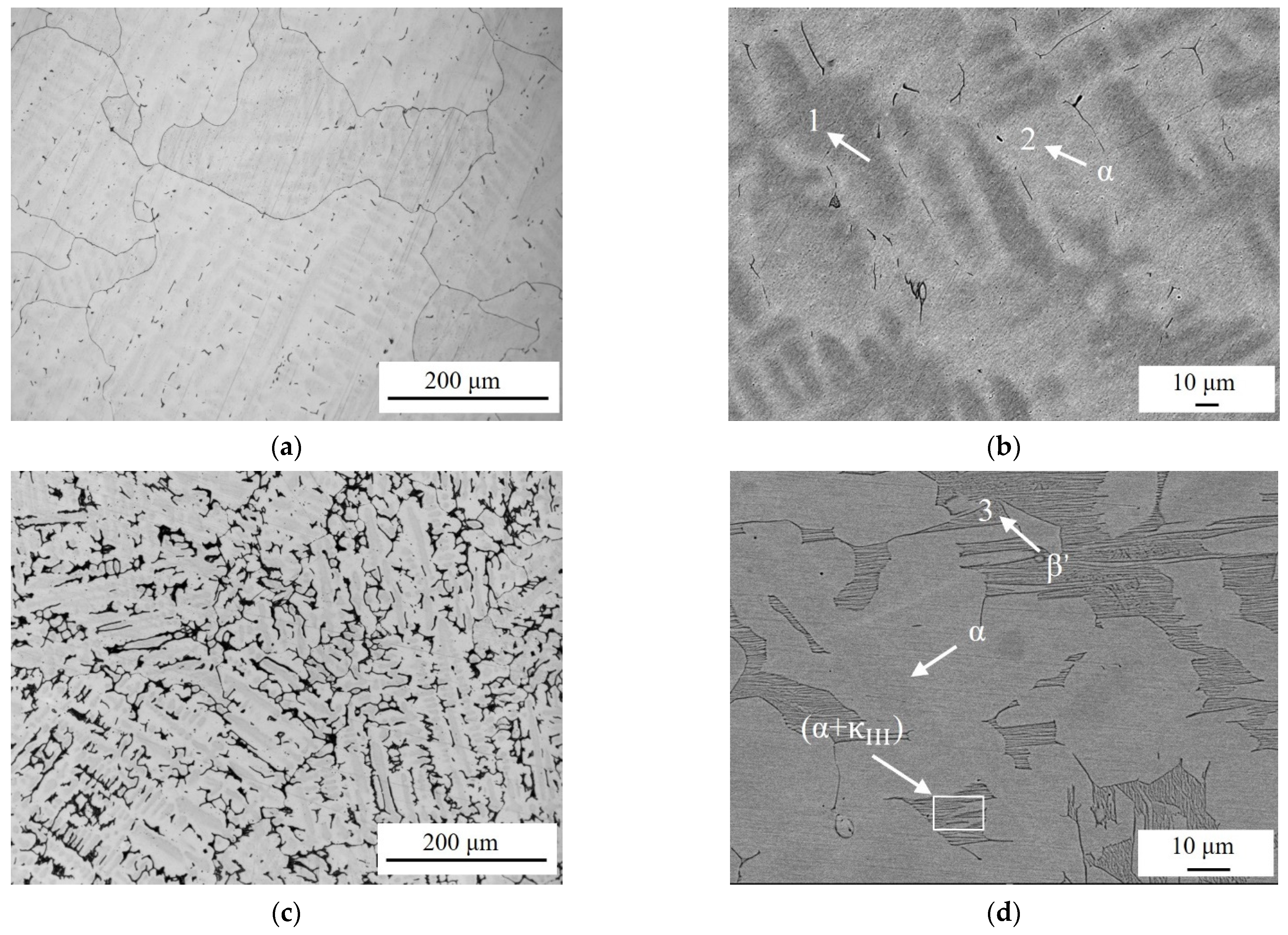 Materials 17 01330 g001a