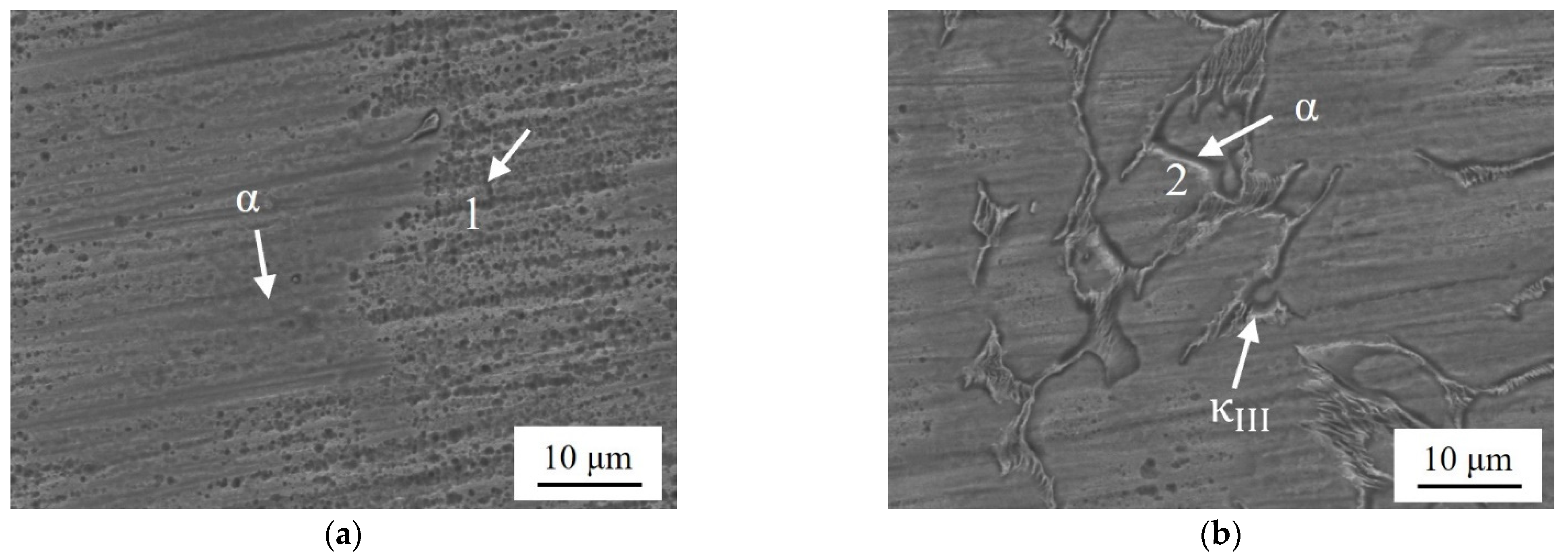 Materials 17 01330 g010a