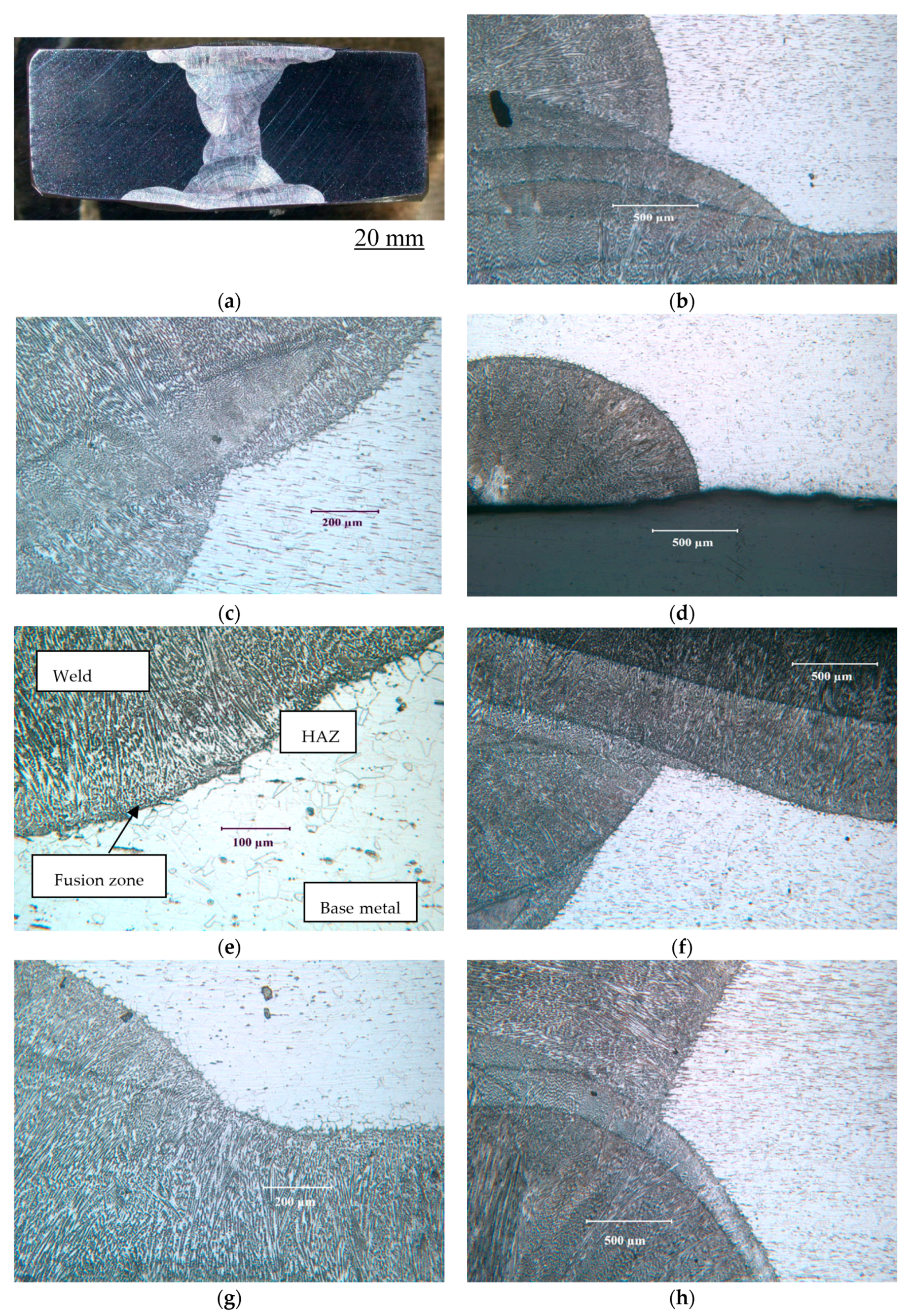 Materials 17 01336 g005