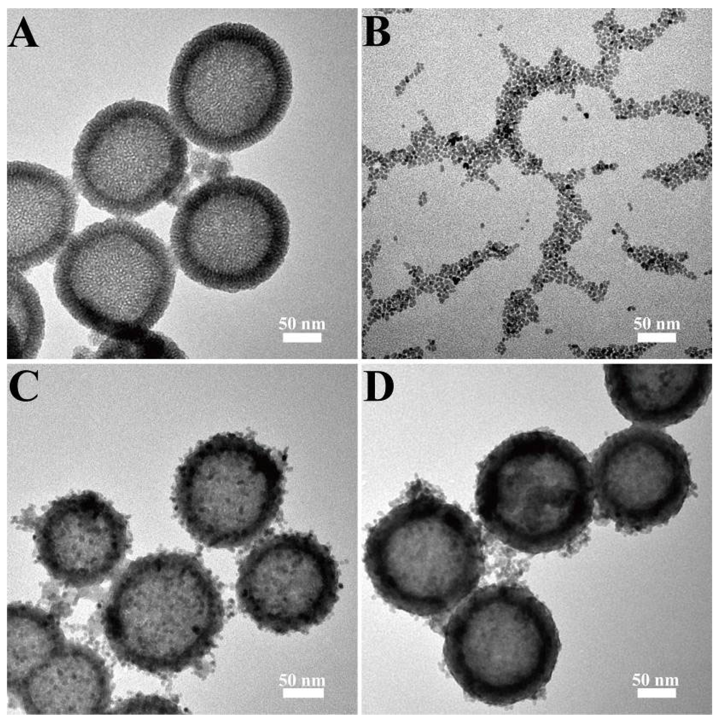 Materials 17 01344 g001