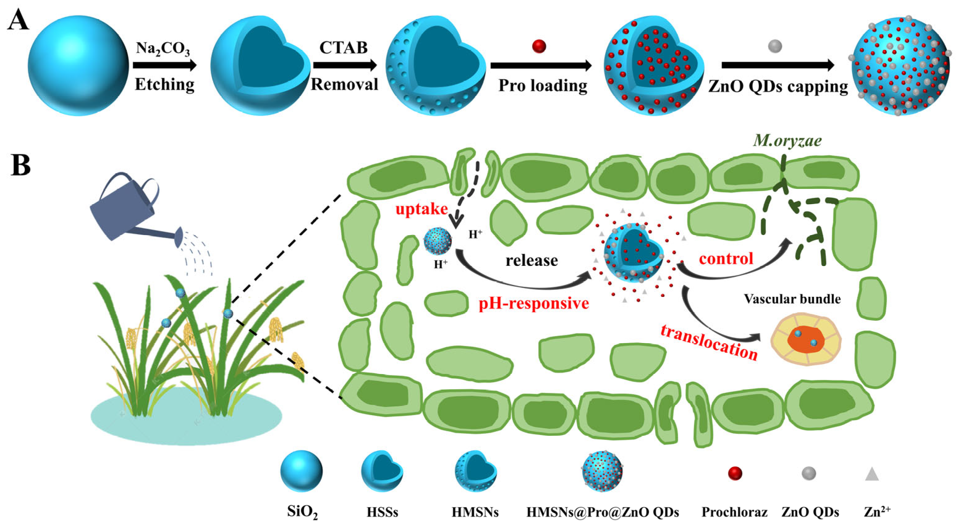 Materials 17 01344 sch001