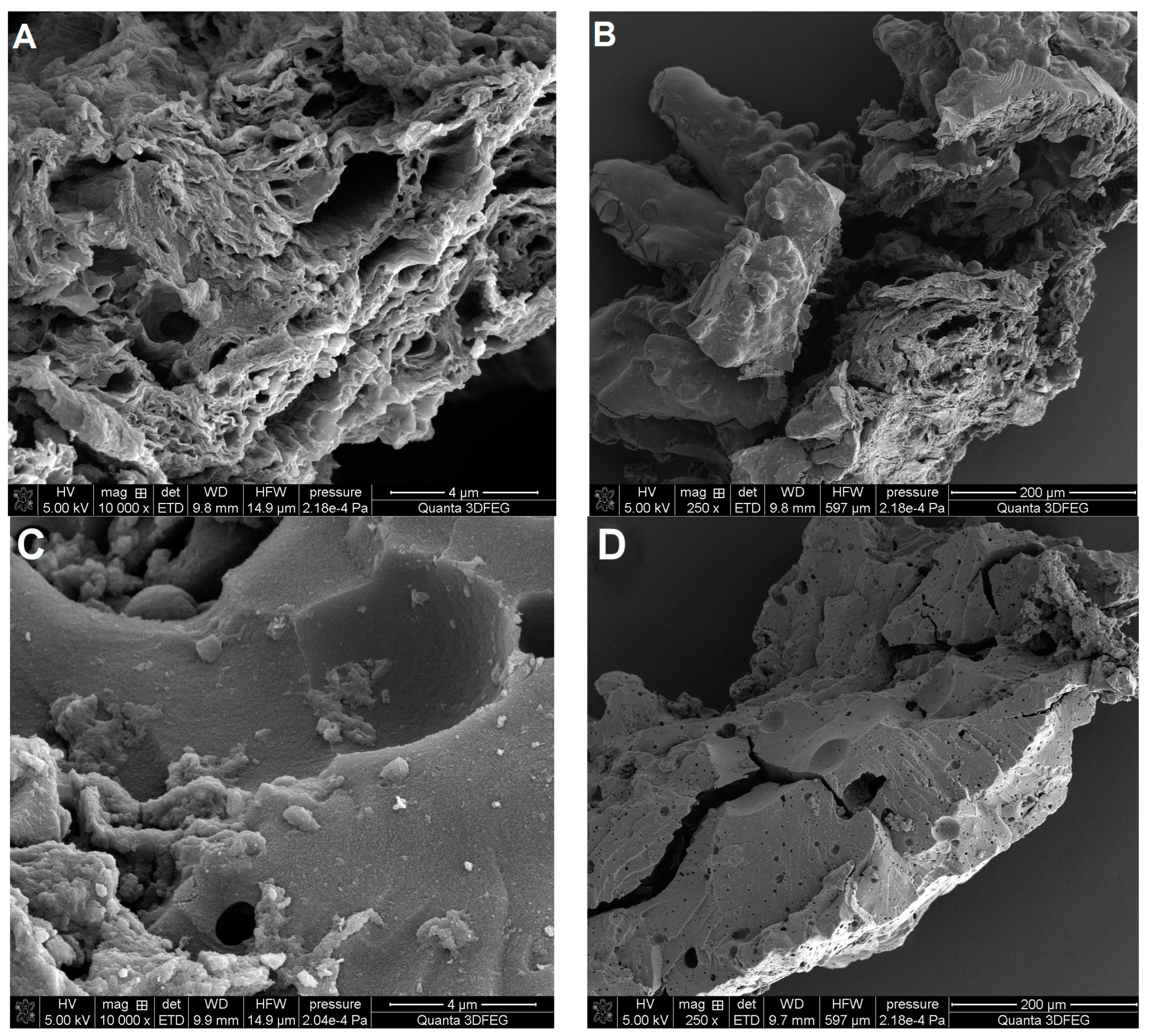 Materials 17 01374 g010 Materials 17 01374 g010
