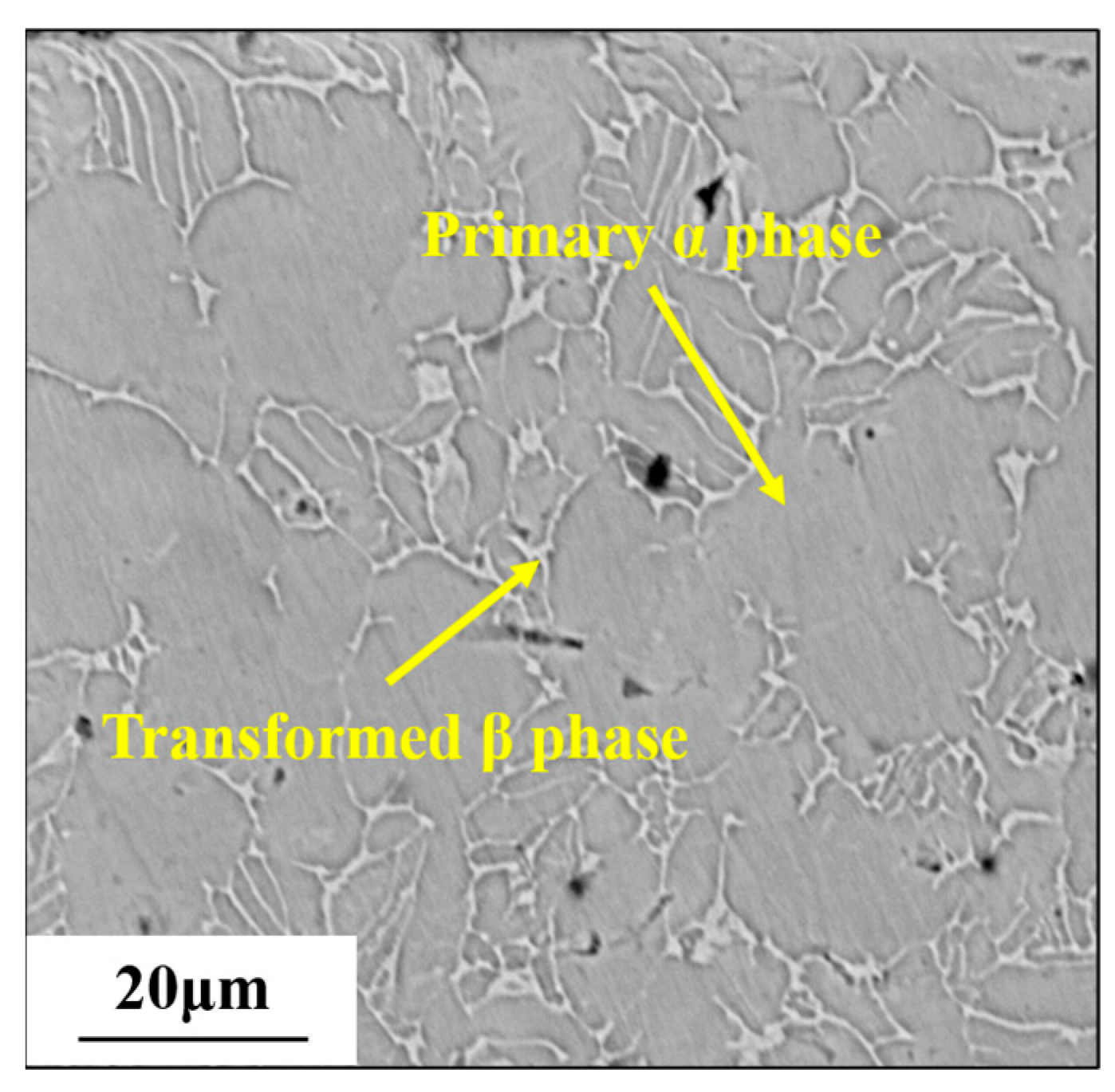 Materials 17 01382 g001