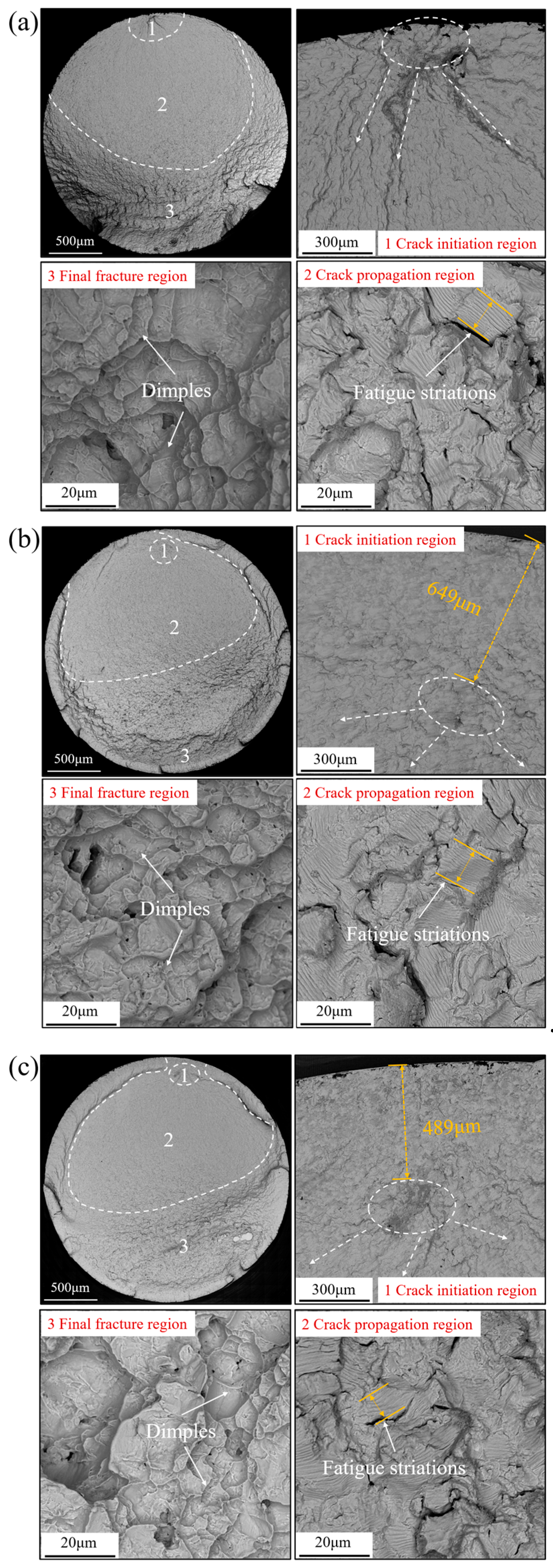 Materials 17 01382 g021