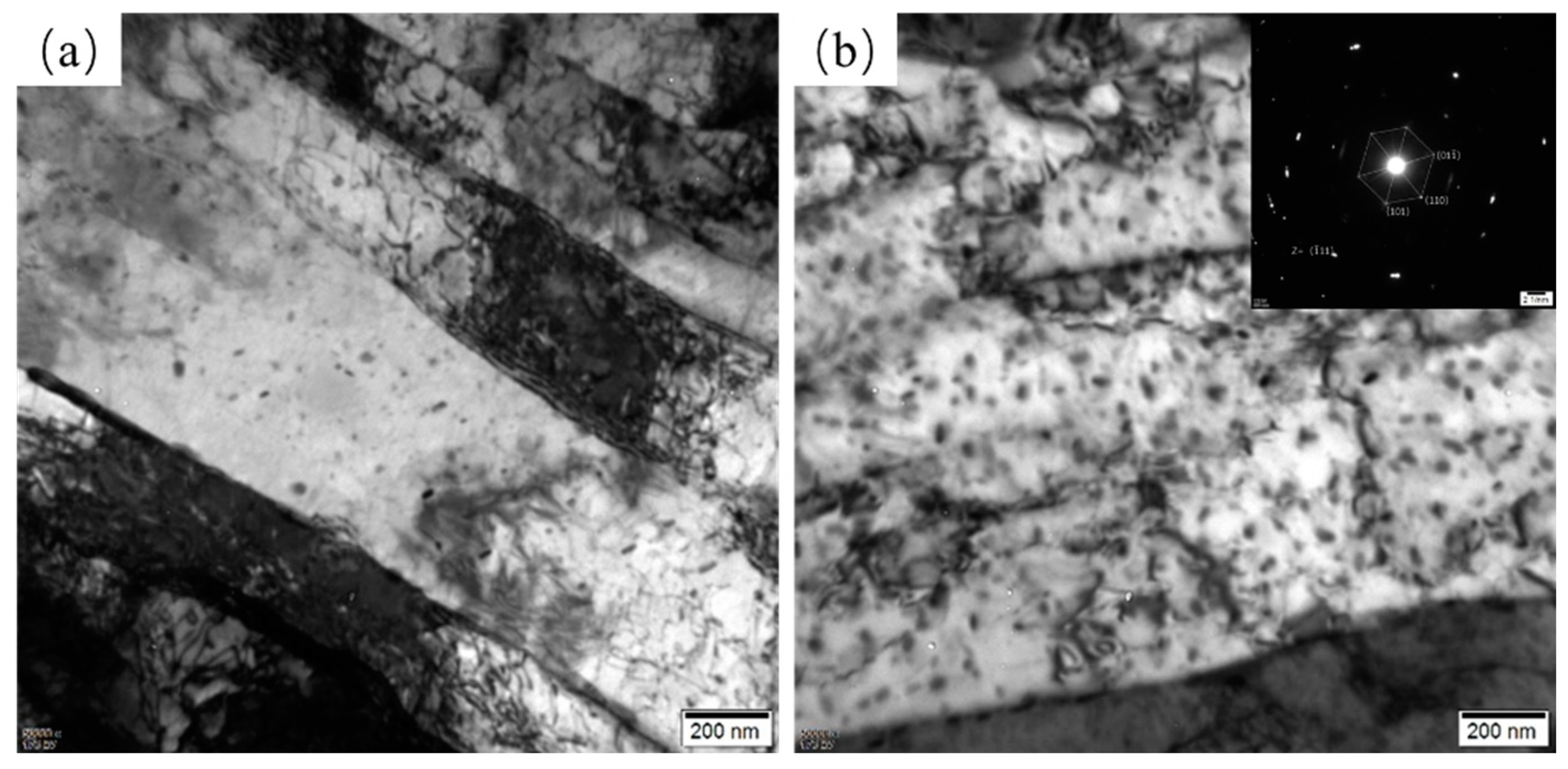 Materials 17 01397 g006 Materials 17 01397 g006