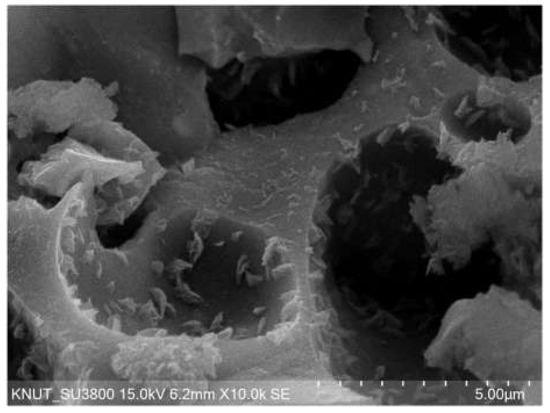 Materials 17 01406 g004