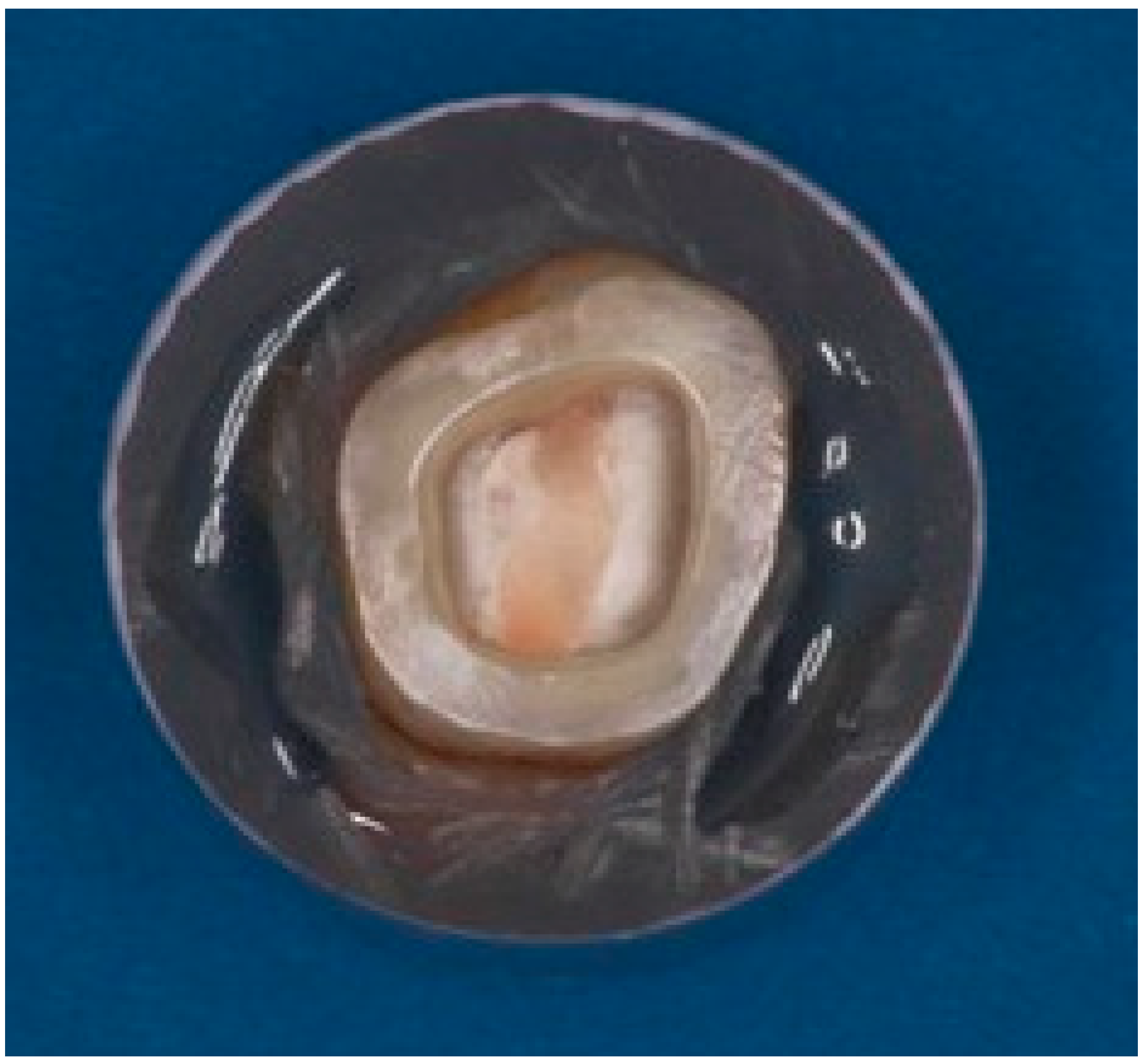 Materials 17 01411 g002