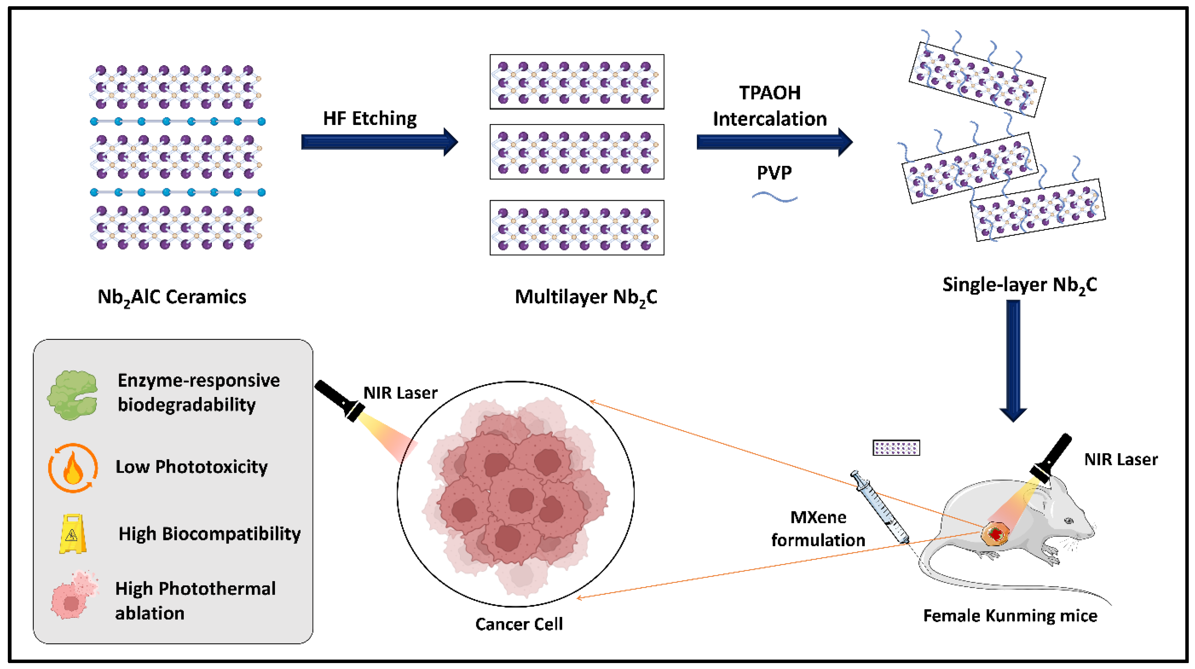 Materials 17 01423 g003