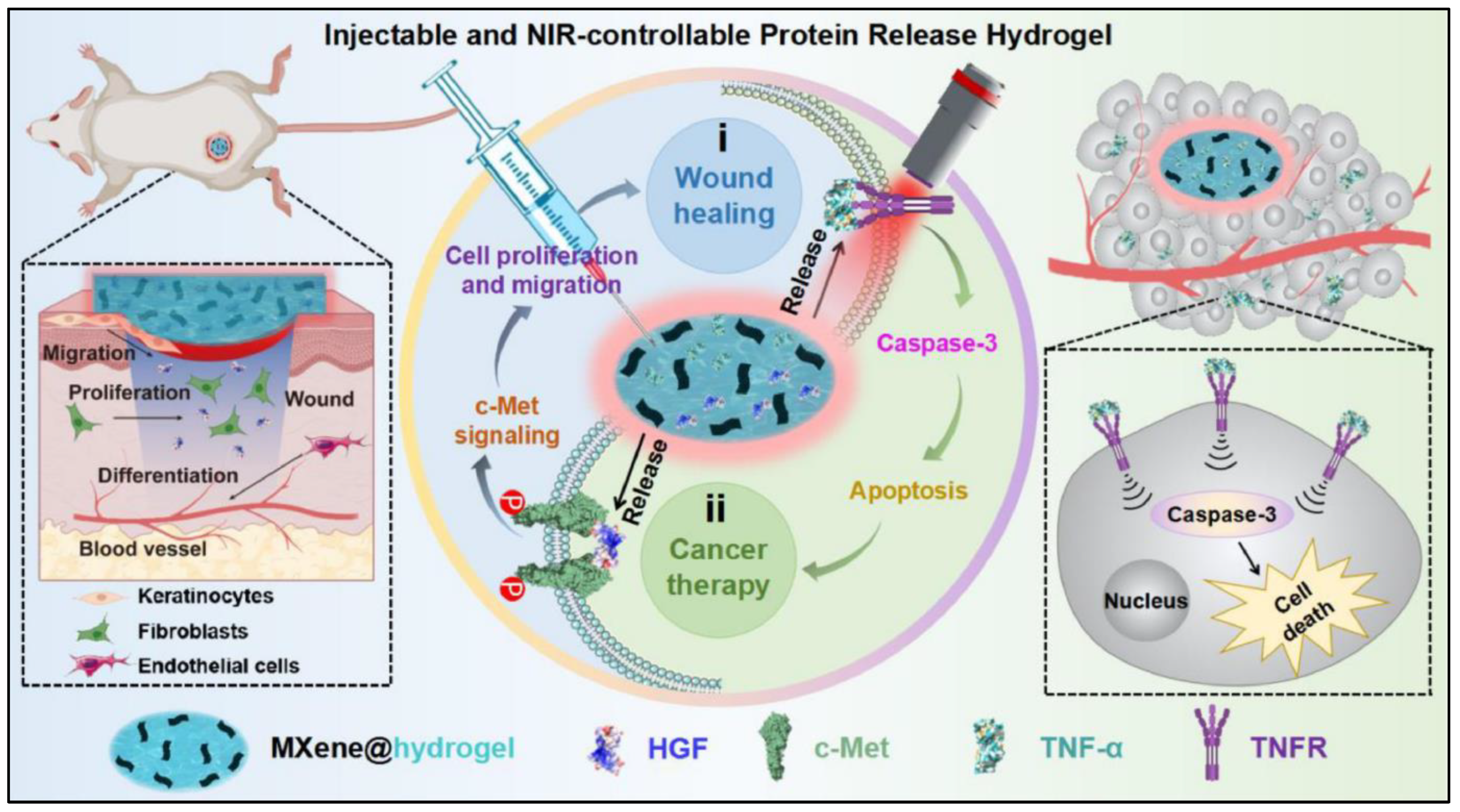 Materials 17 01423 g005