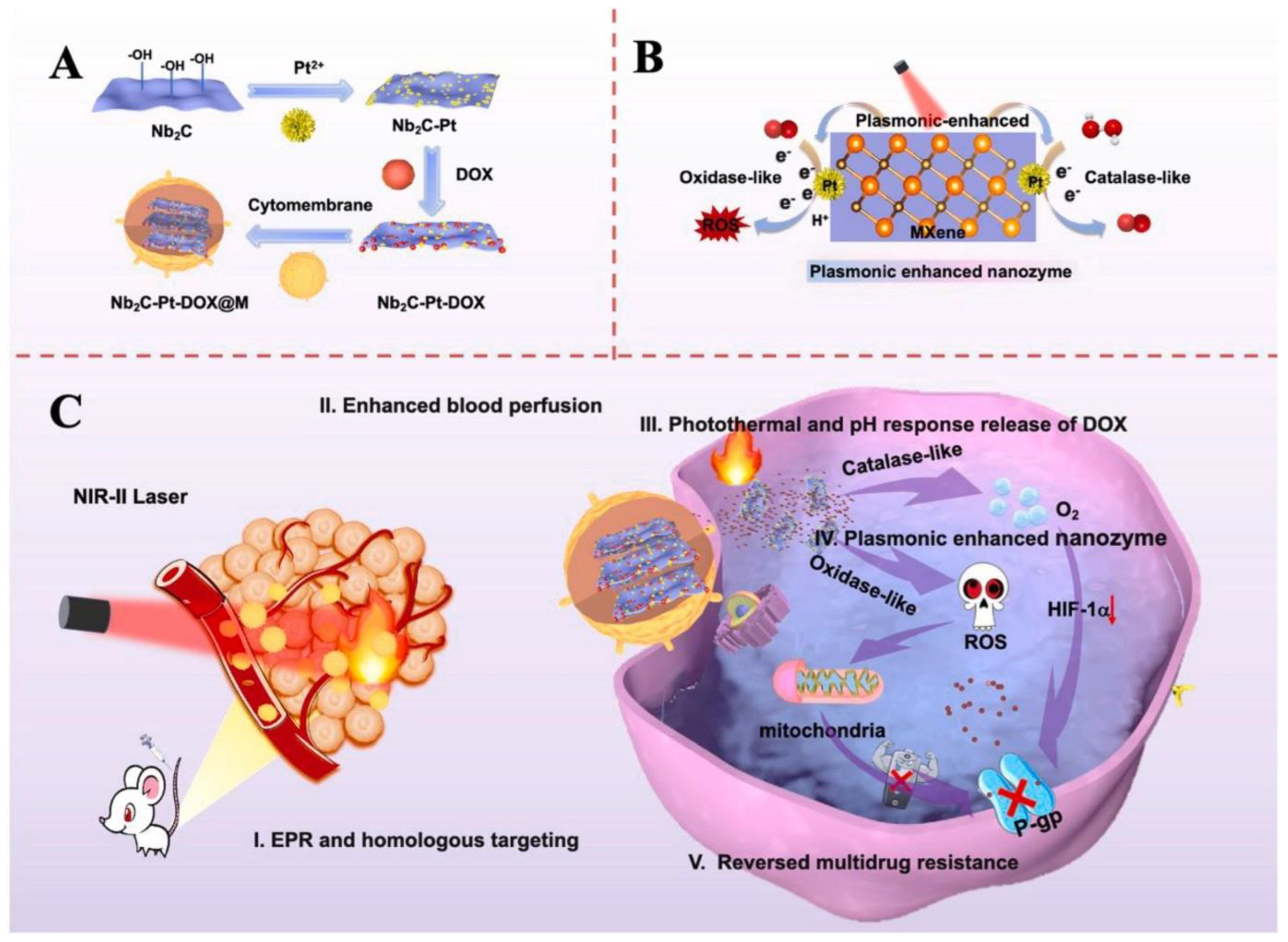 Materials 17 01423 g007