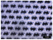 Materials 17 01439 i001