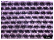 Materials 17 01439 i003