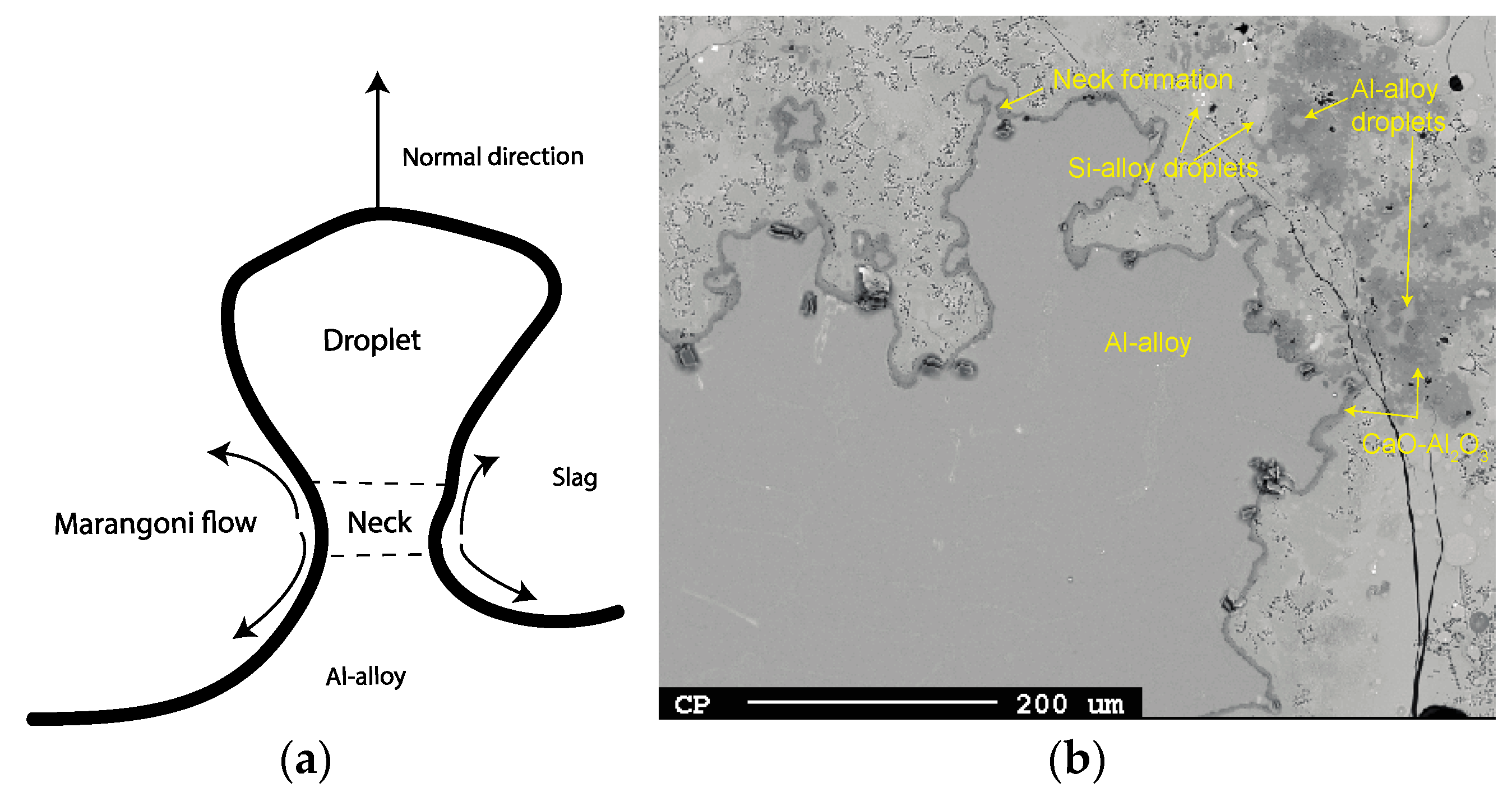 Materials 17 01466 g023