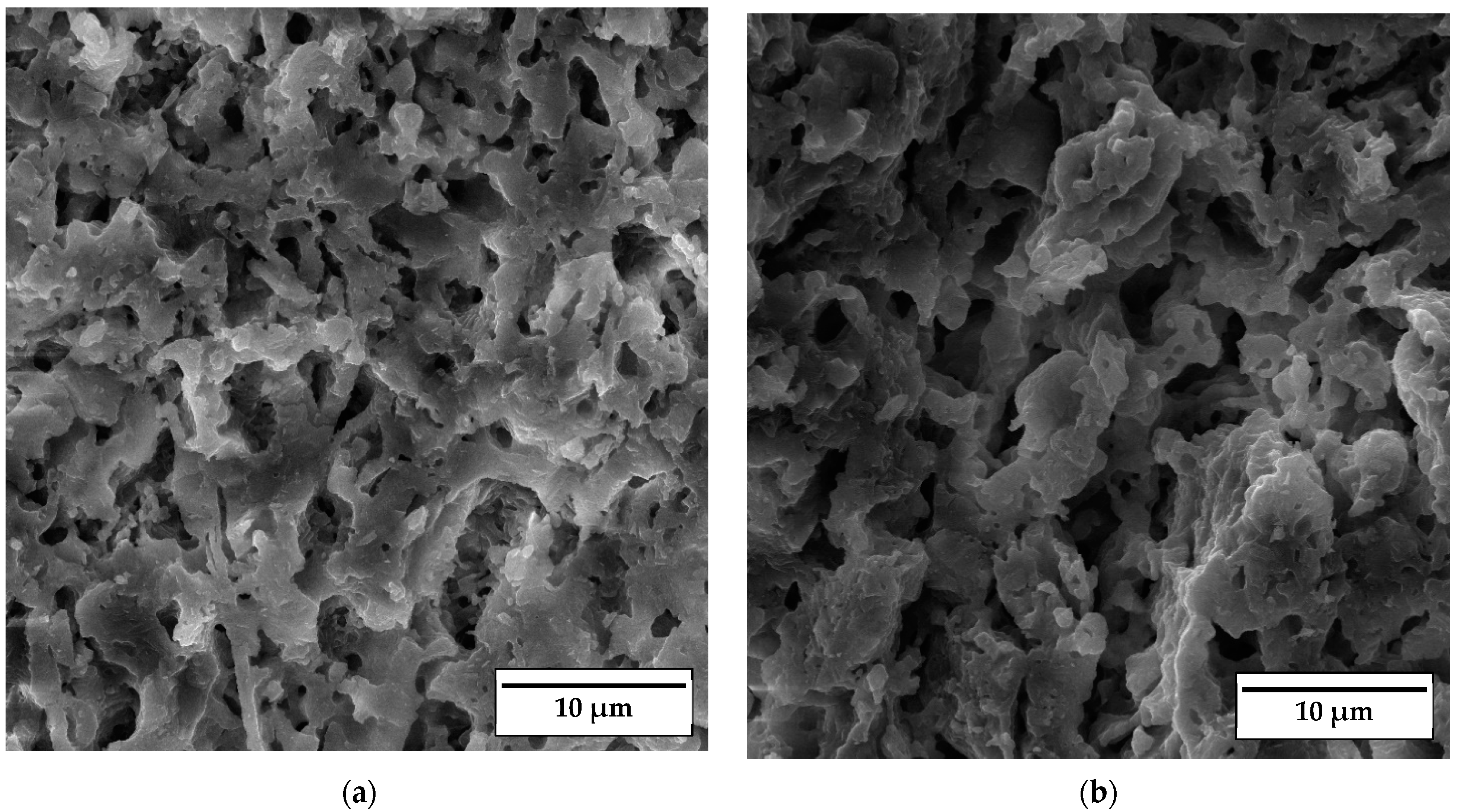 Materials 17 01478 g010