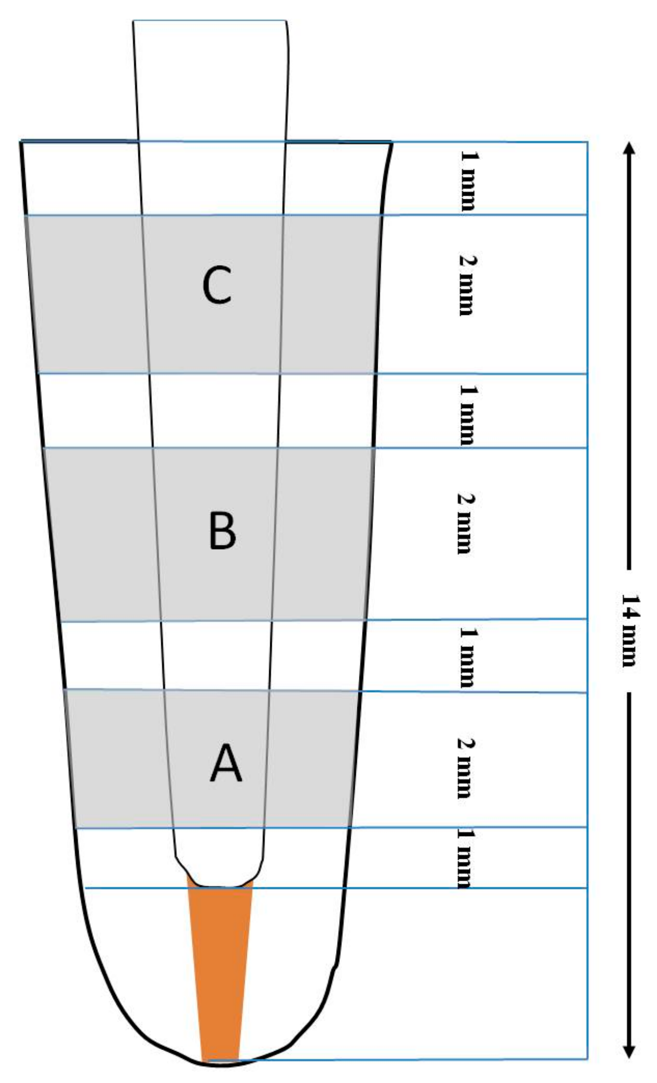 Materials 17 01492 g001