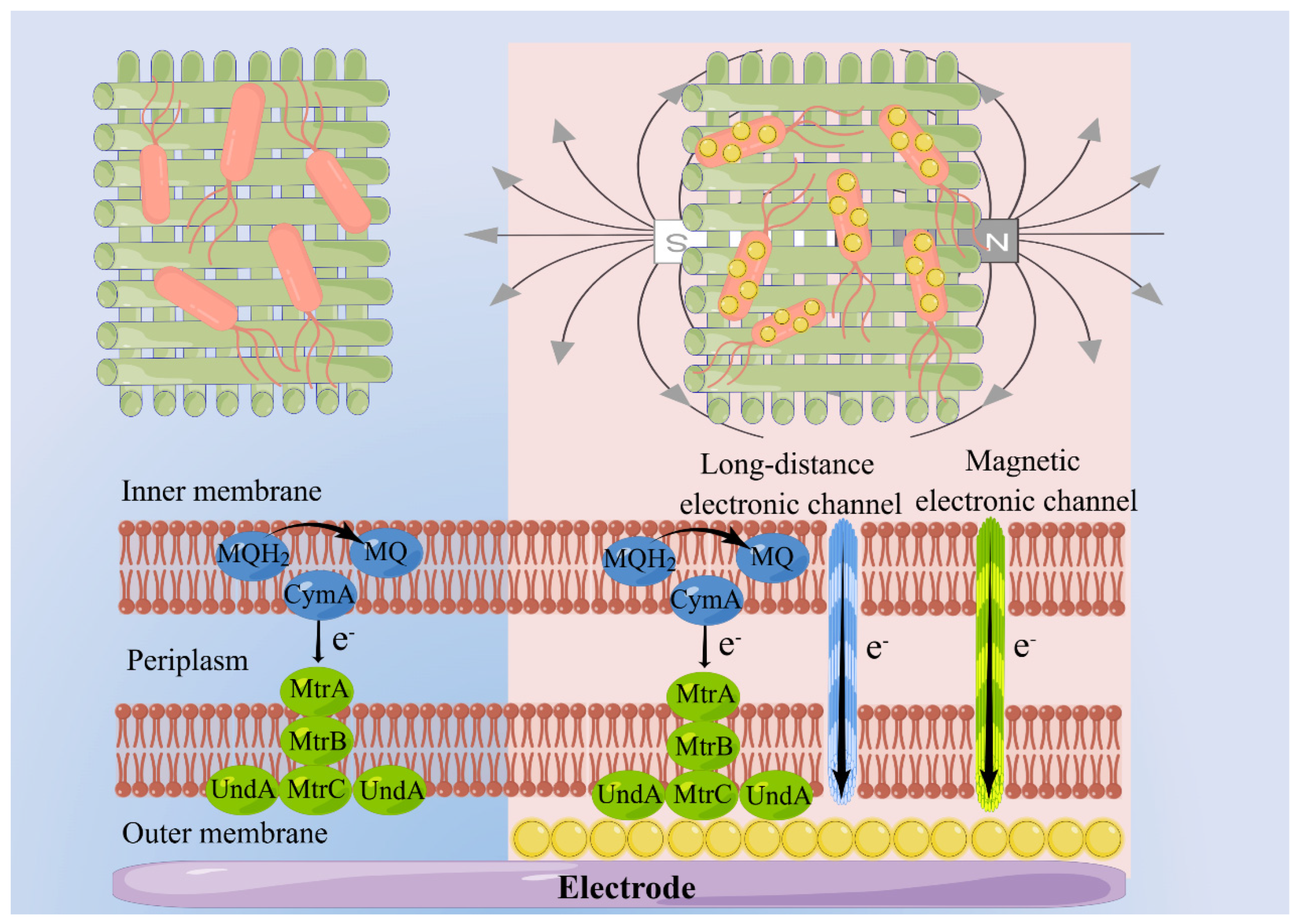 Materials 17 01501 g006