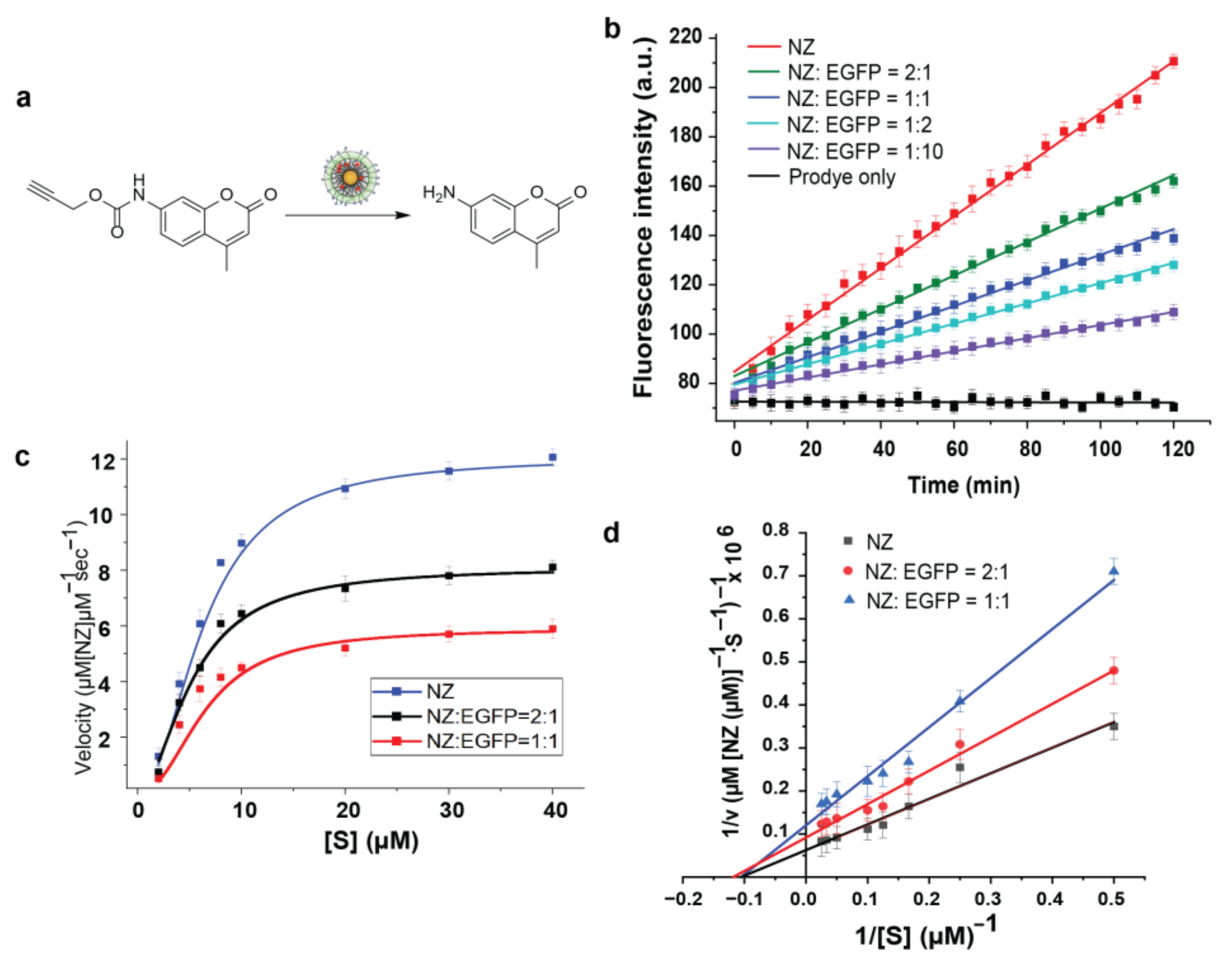 Materials 17 01507 g004 Materials 17 01507 g004