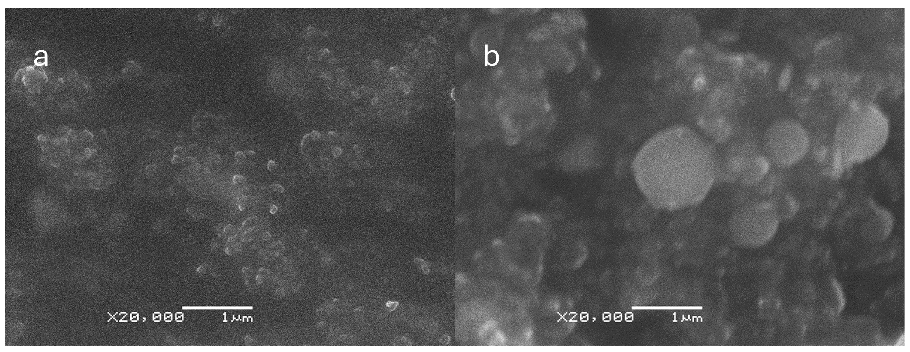 Materials 17 01525 g001