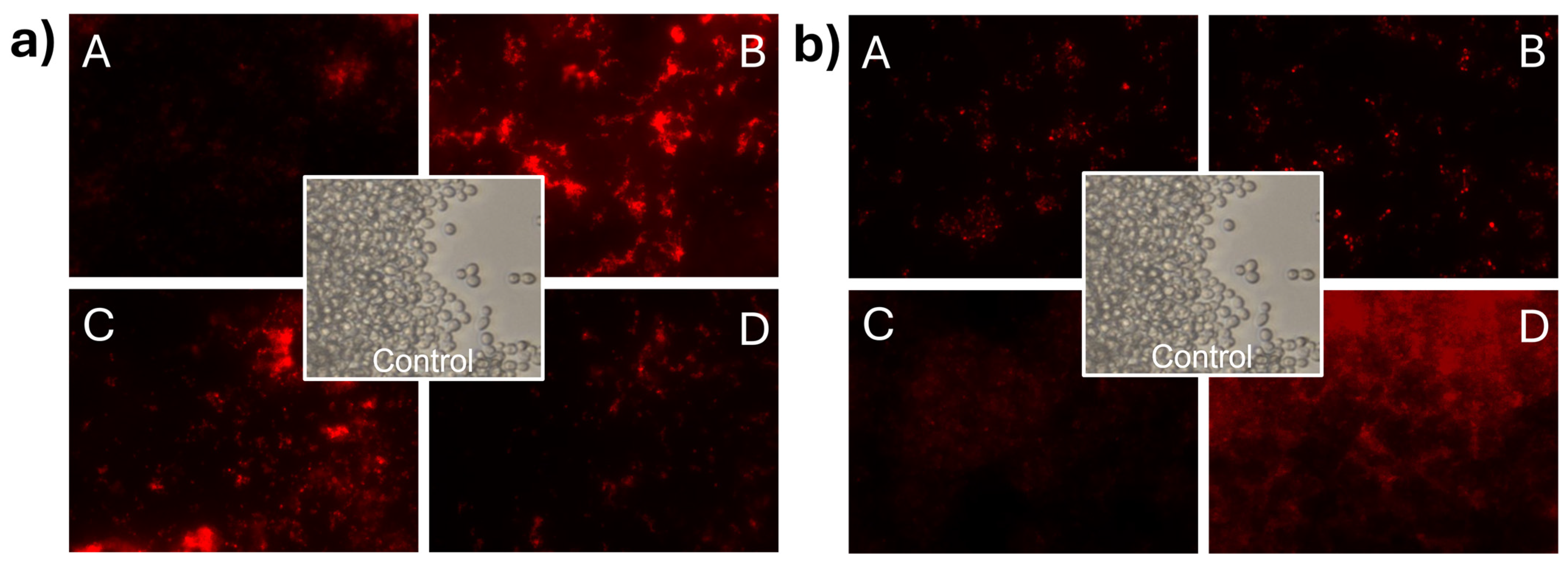 Materials 17 01525 g006