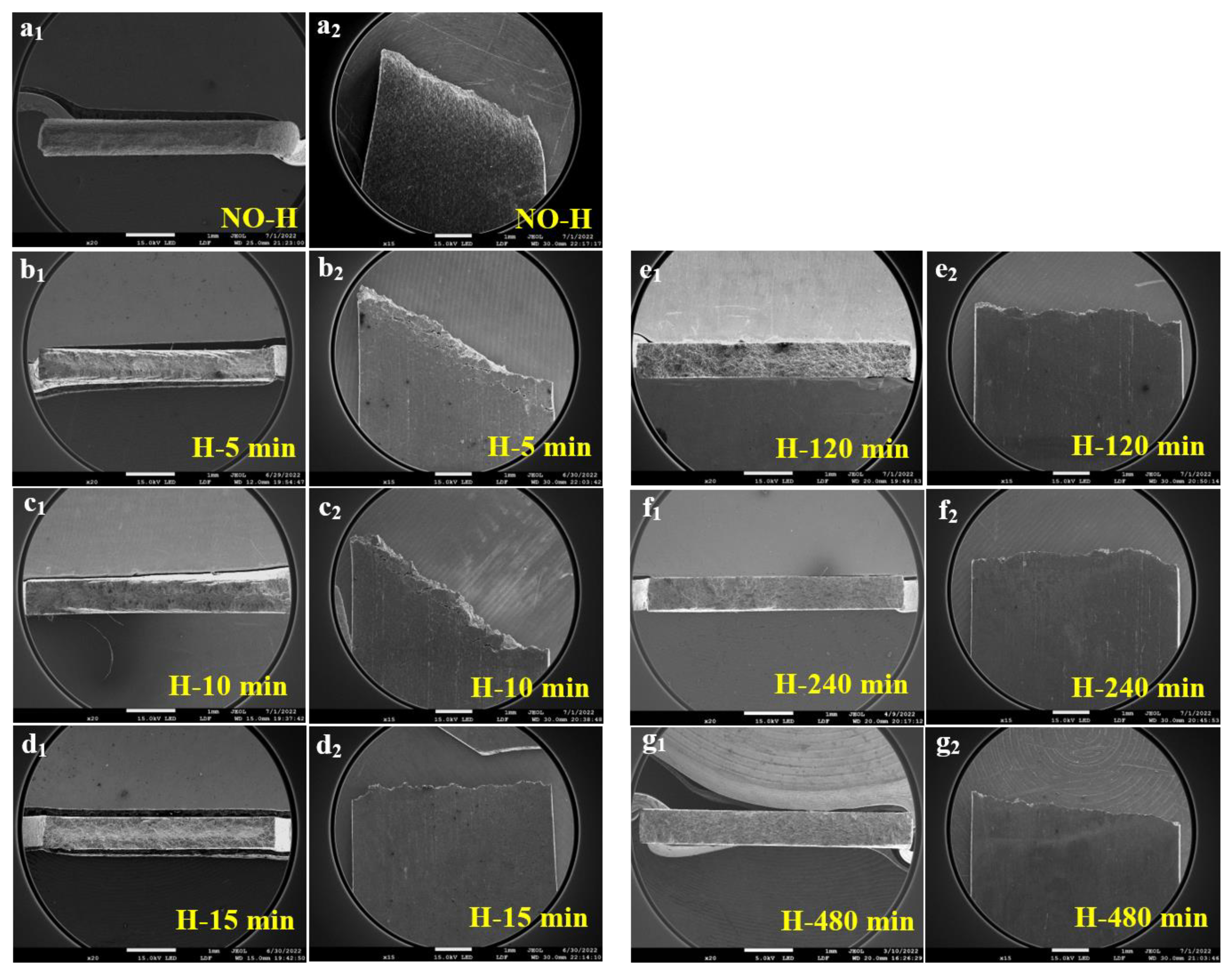 Materials 17 01546 g008