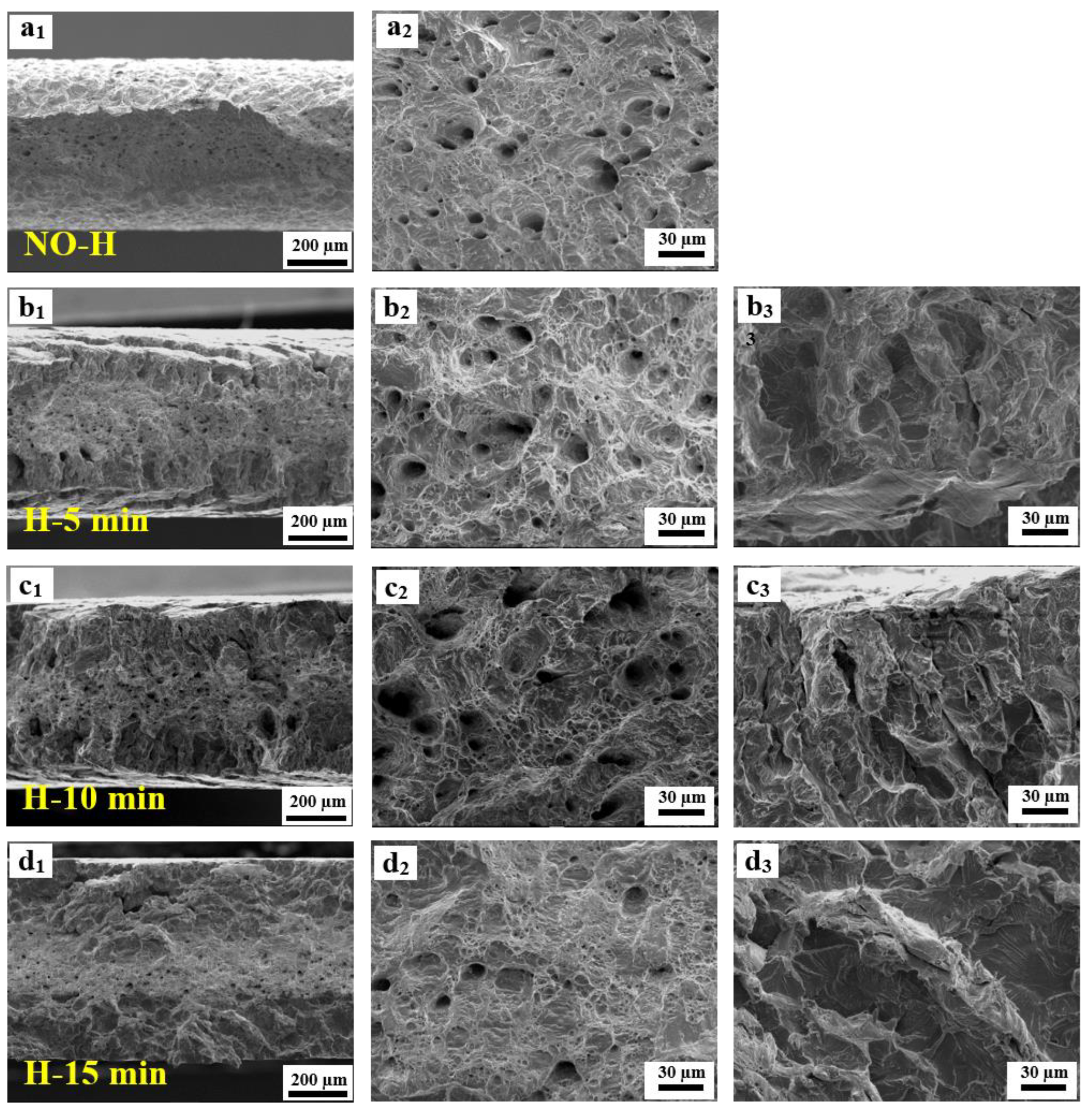 Materials 17 01546 g009