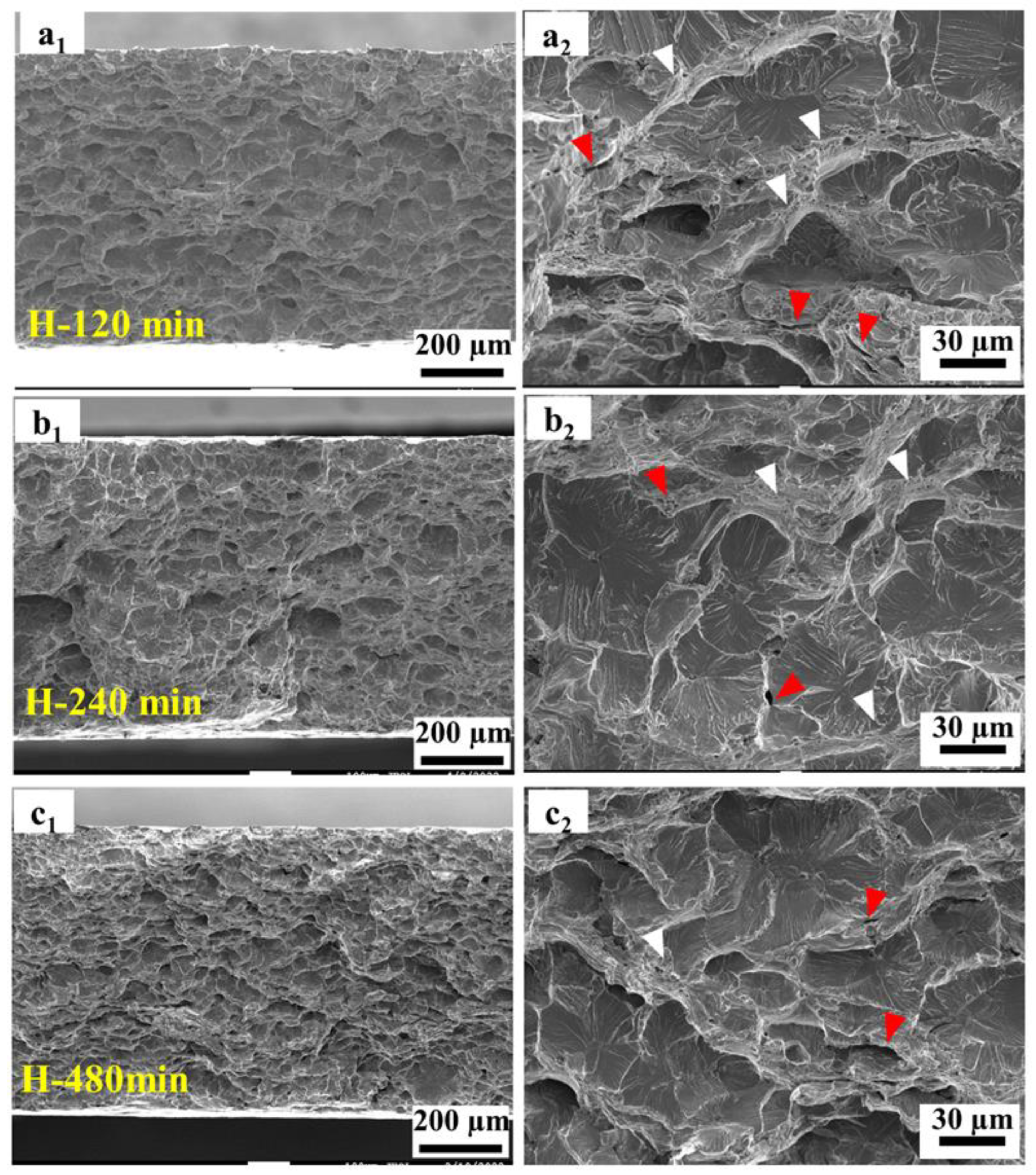 Materials 17 01546 g010