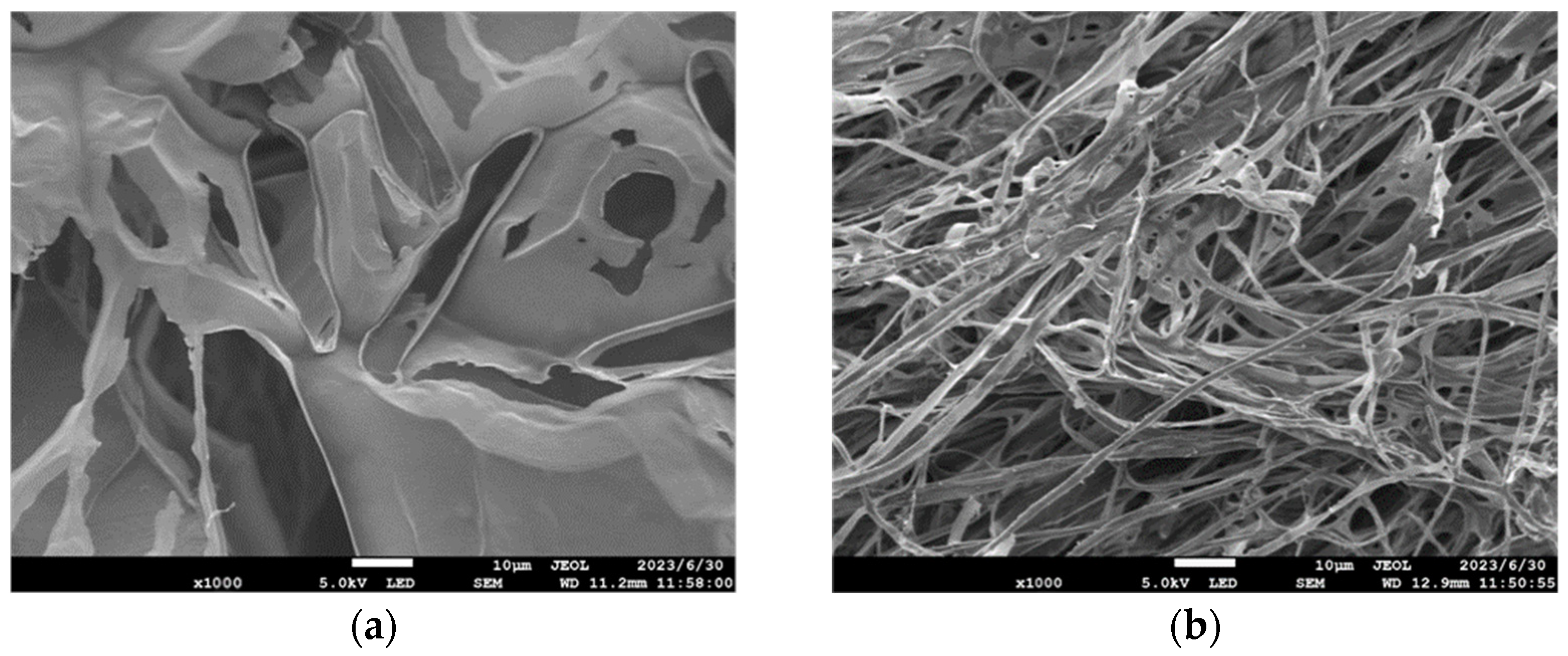 Materials 17 01564 g005 Materials 17 01564 g005