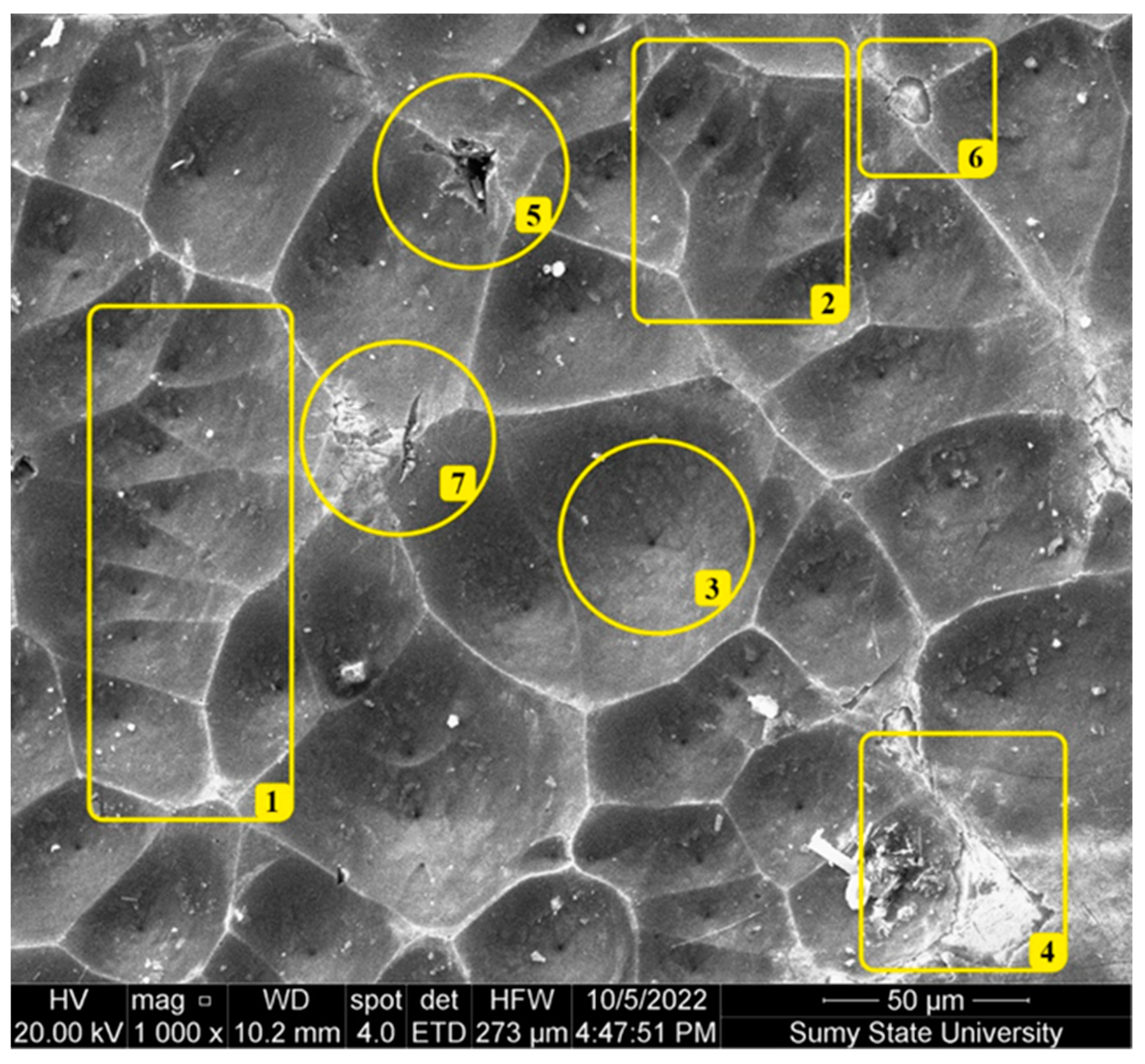 Materials 17 01566 g002