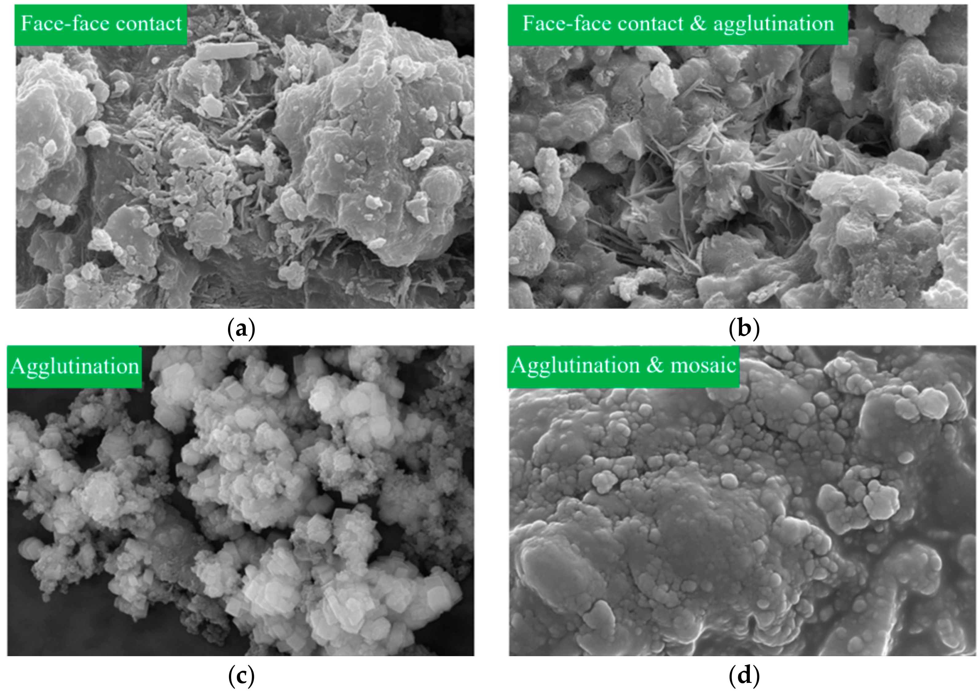 Materials 17 01568 g014 Materials 17 01568 g014