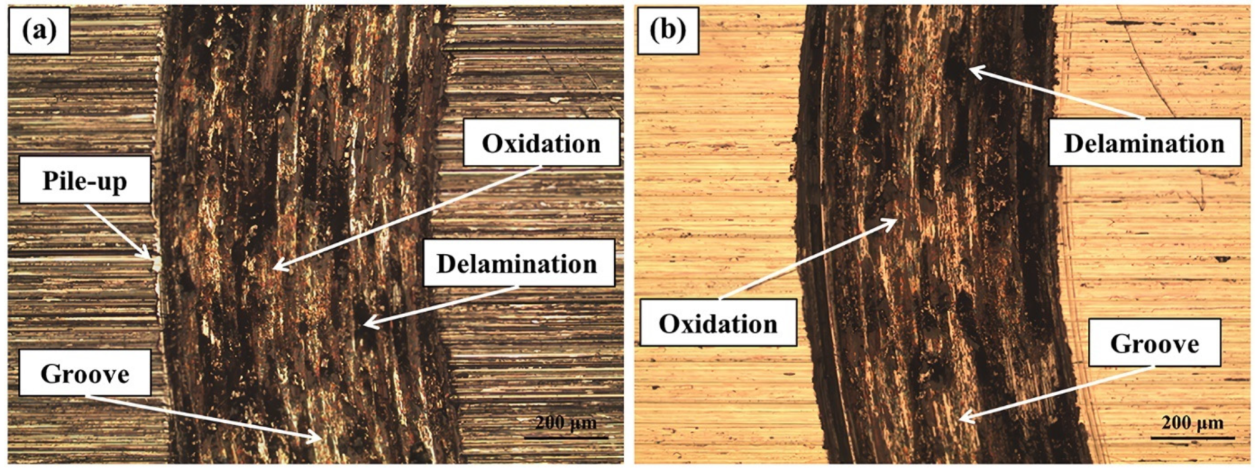 Materials 17 01618 g015