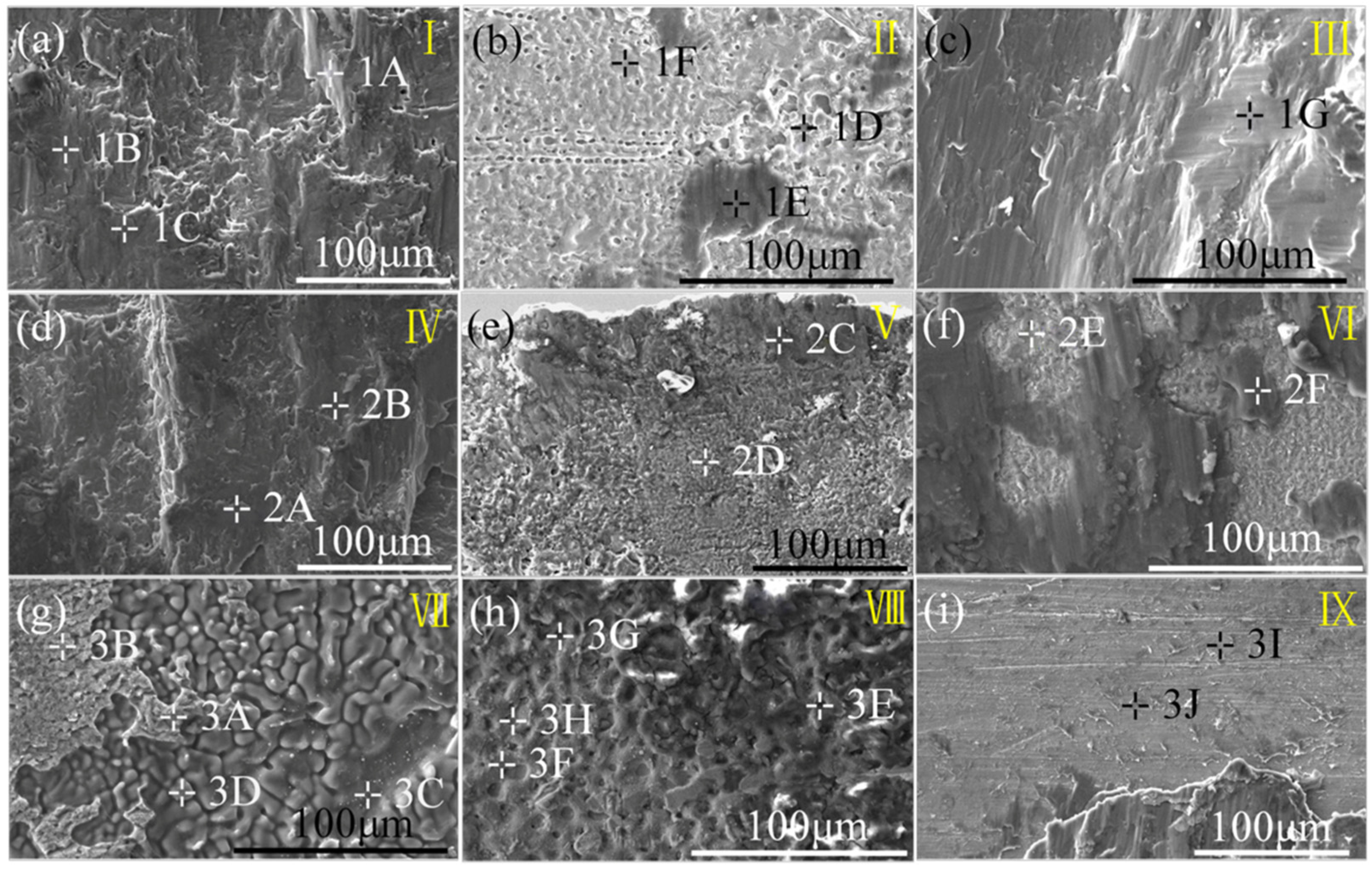 Materials 17 01624 g005