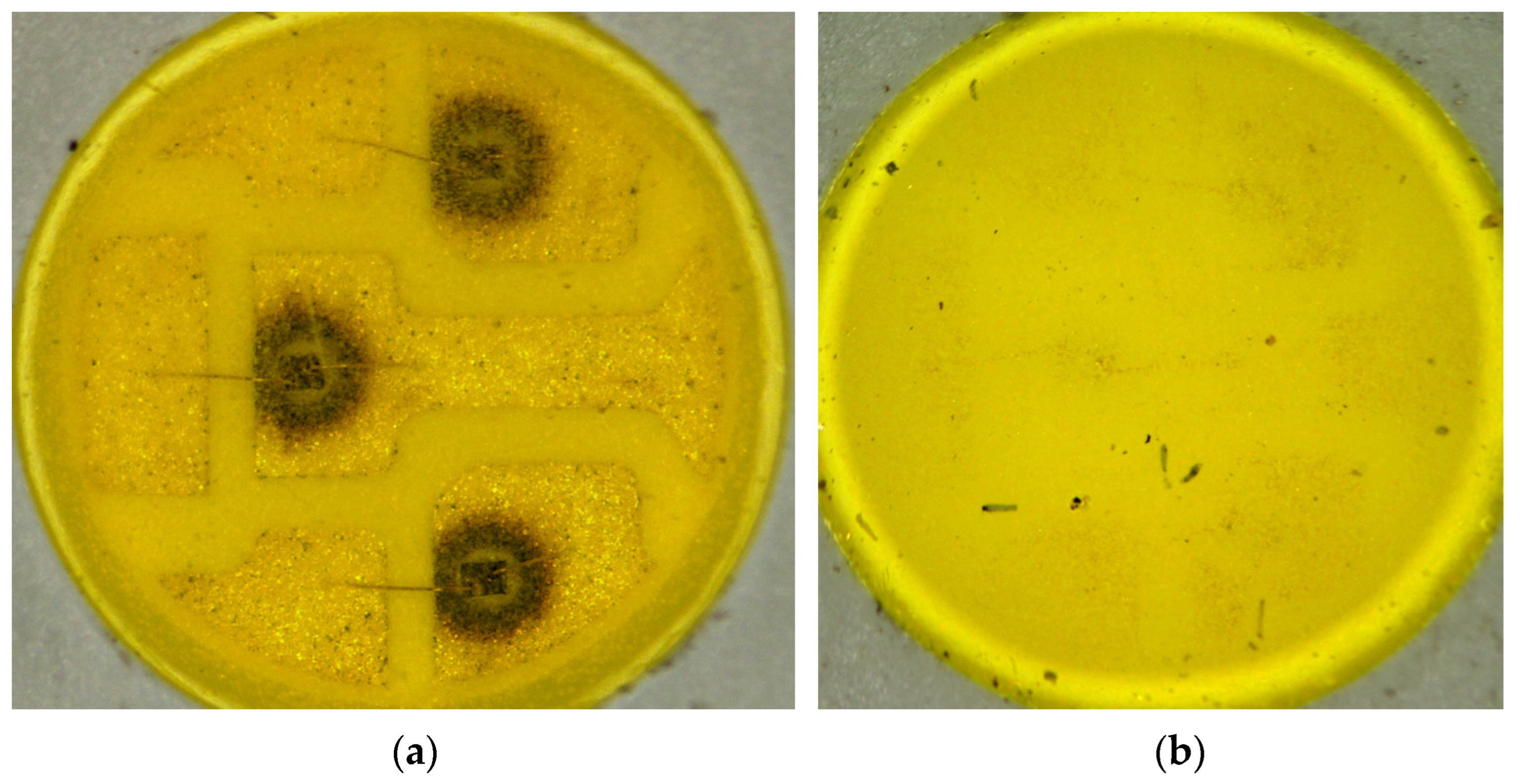 Materials 17 01643 g004