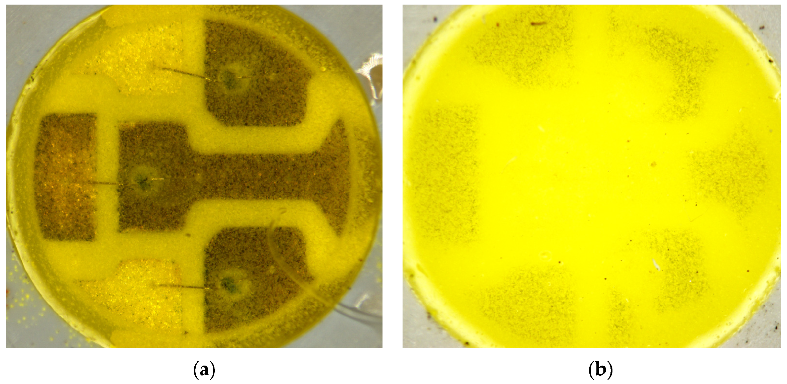 Materials 17 01643 g005