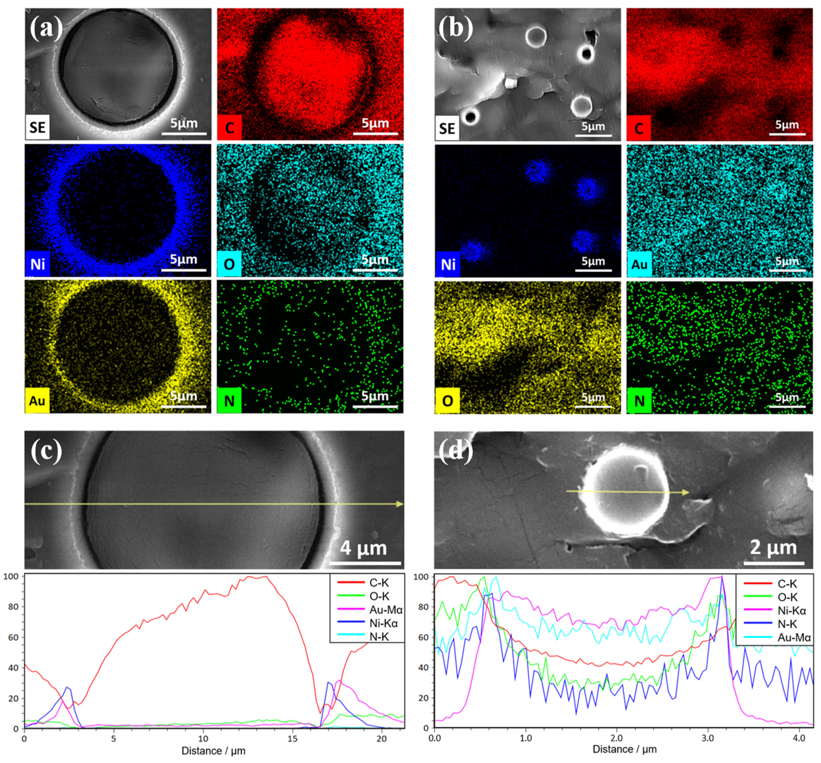 Materials 17 01658 g005