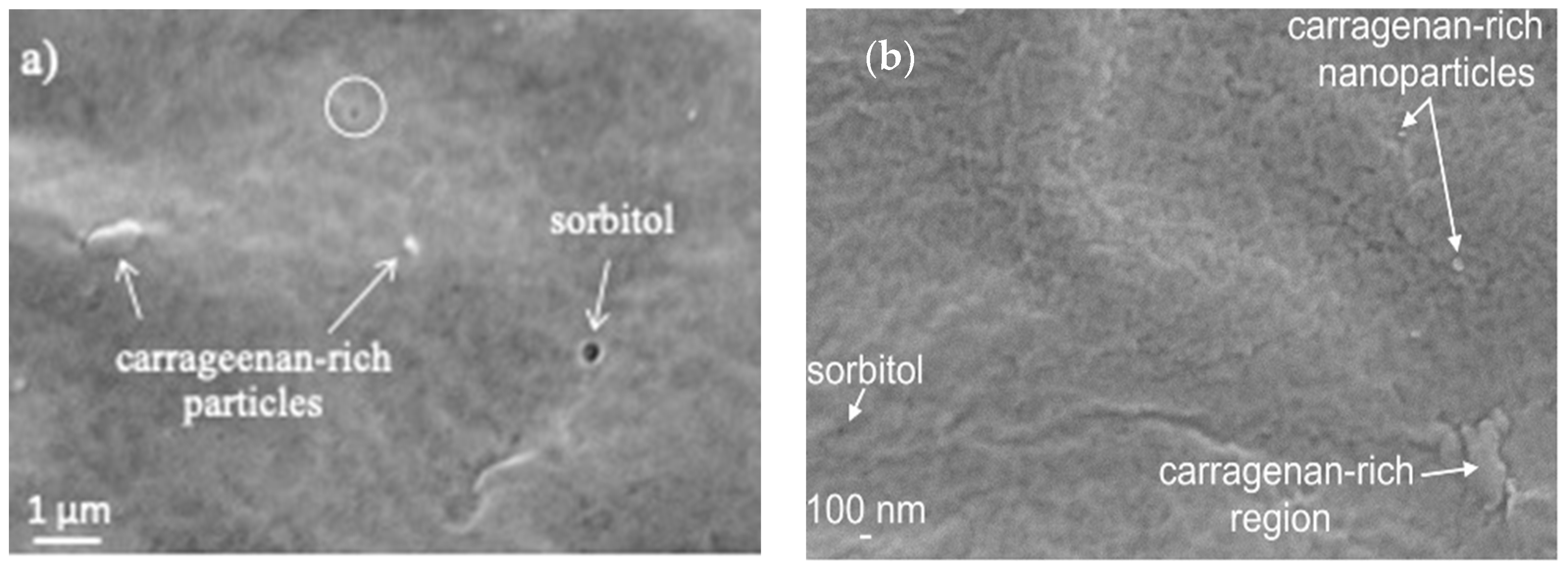 Materials 17 01668 g007