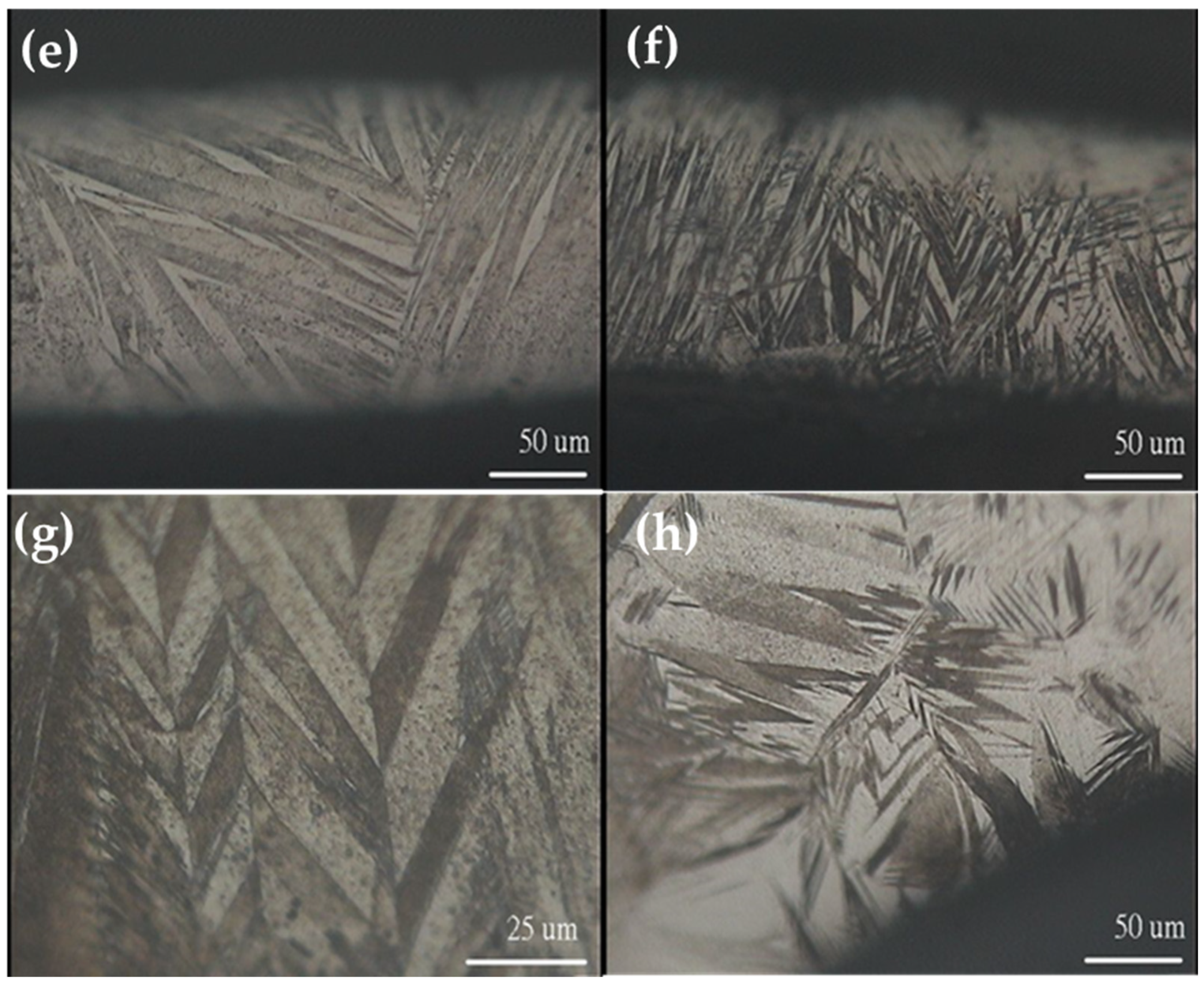 Materials 17 01674 g001b Materials 17 01674 g001b