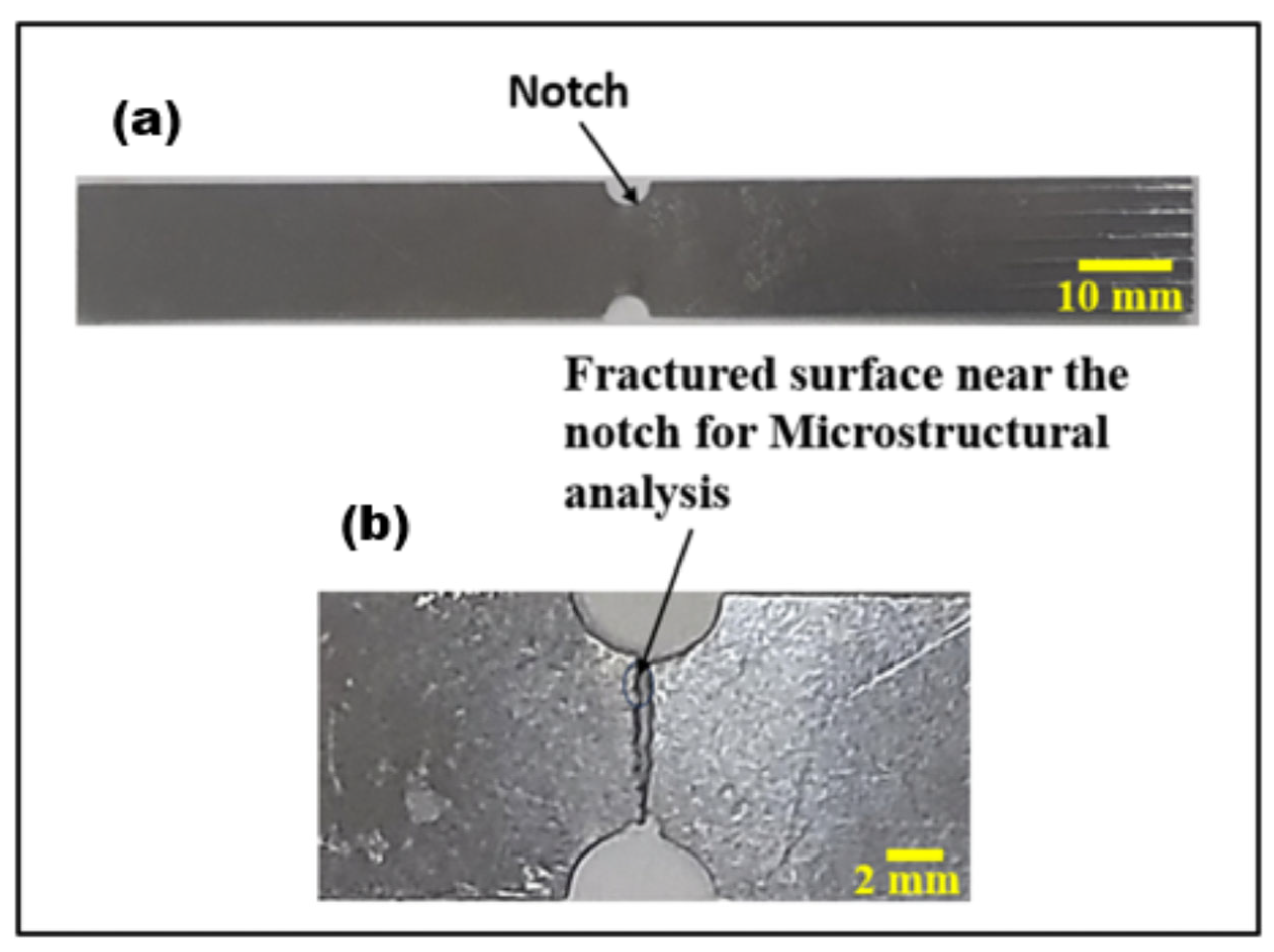 Materials 17 01708 g009