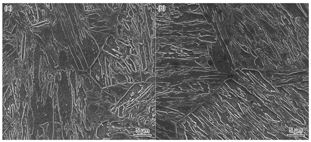 Materials 17 01731 i004