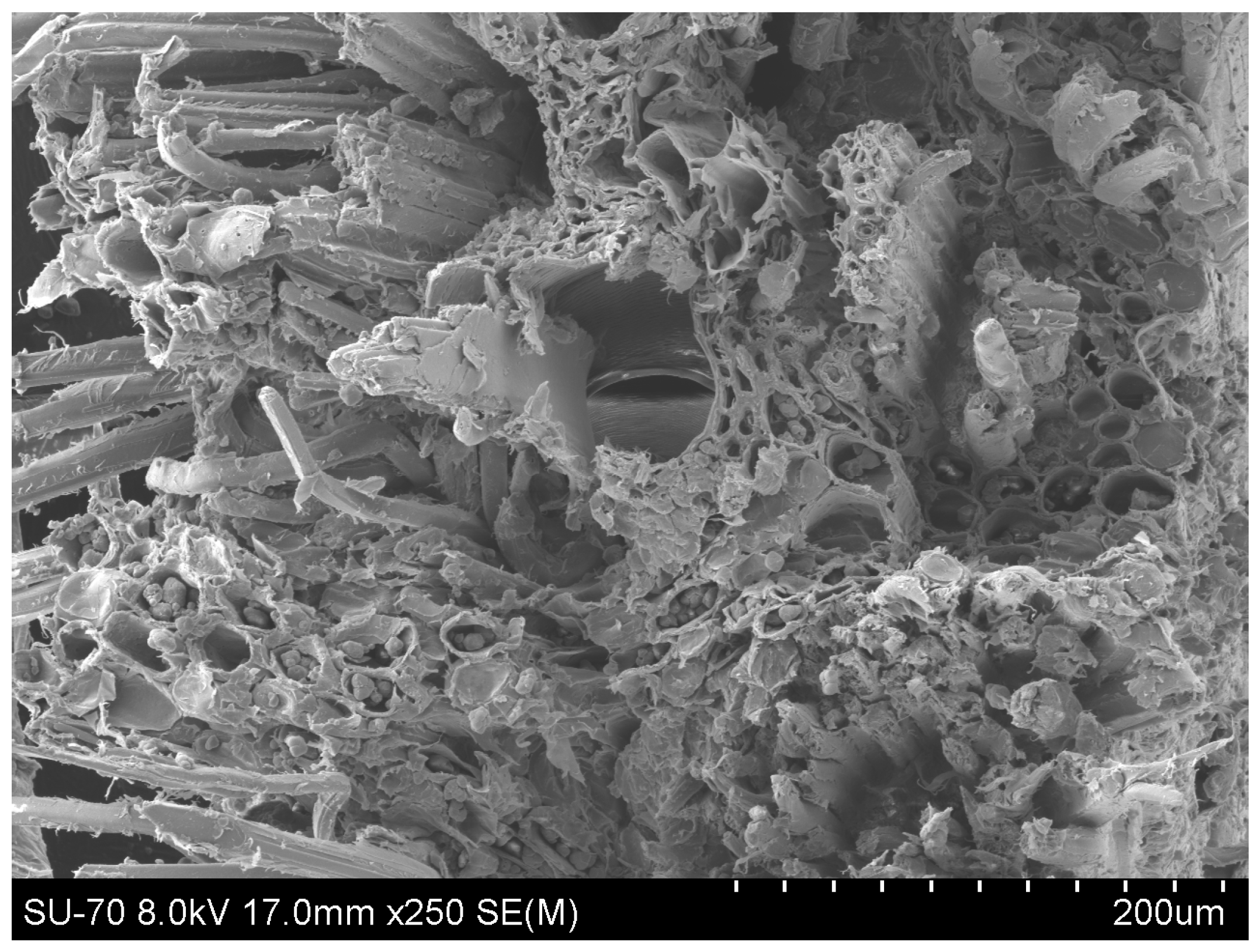 Materials 17 01777 g004